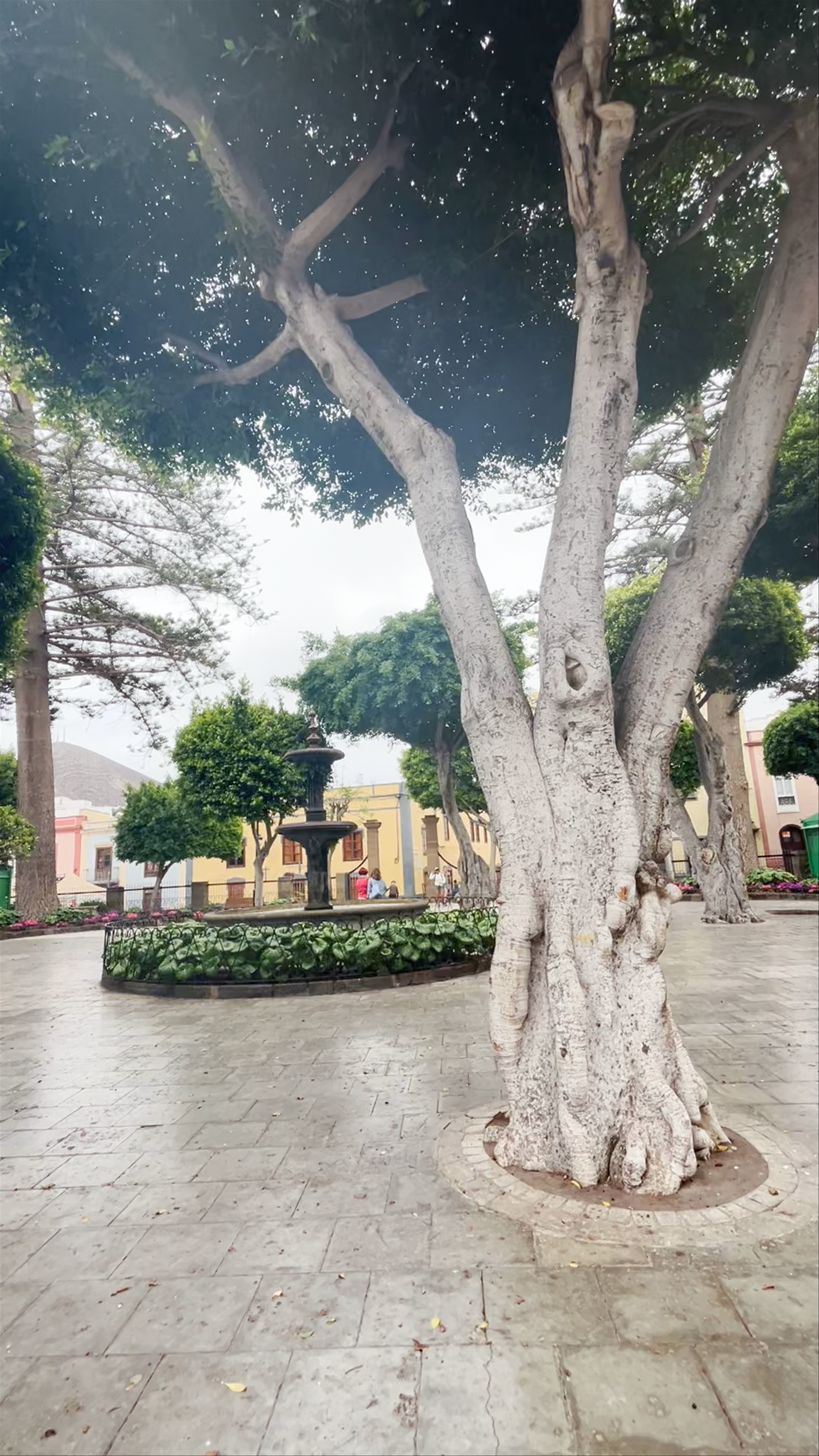 Exploring Parroquia de Santiago Apóstol in Gáldar, Canary Islands