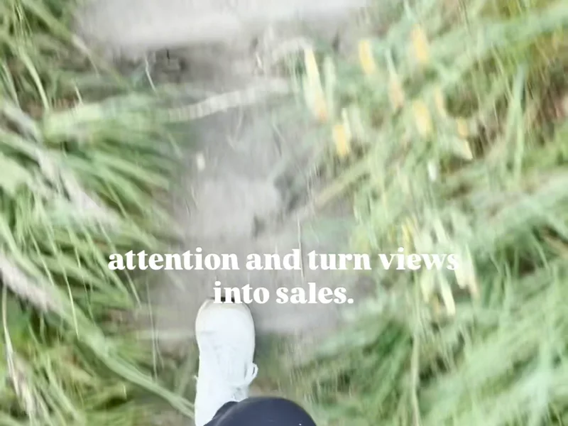 Intro video