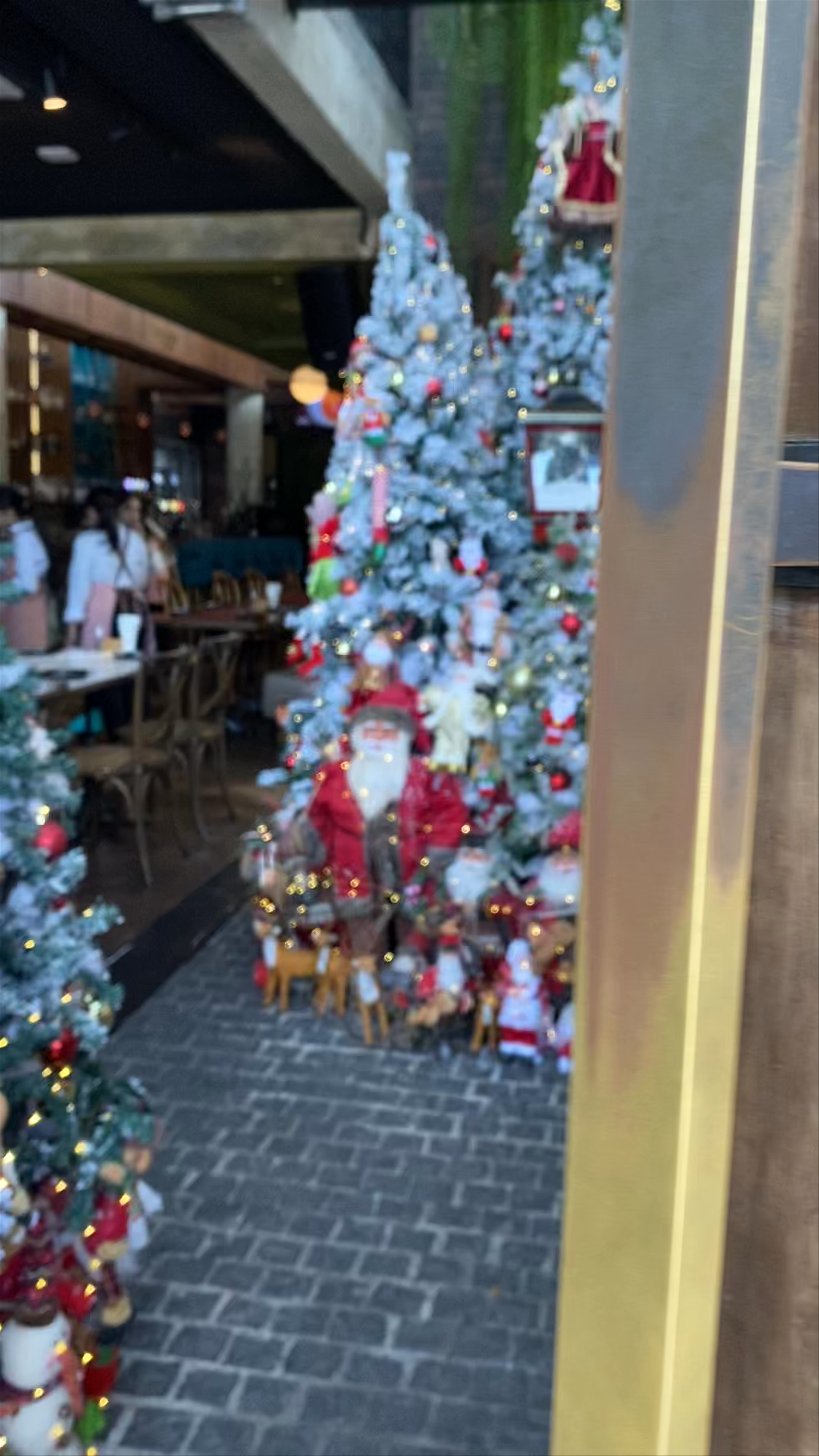 Day & Night Of Phuket