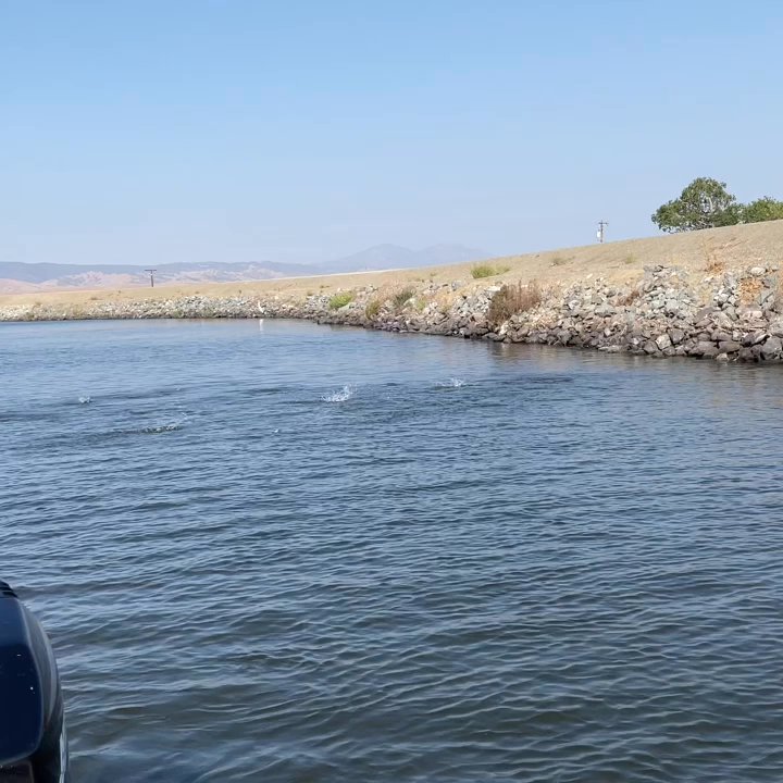 Lazy M Marina - Interesting development! - Marinas Near Me - Discovery Bay, California