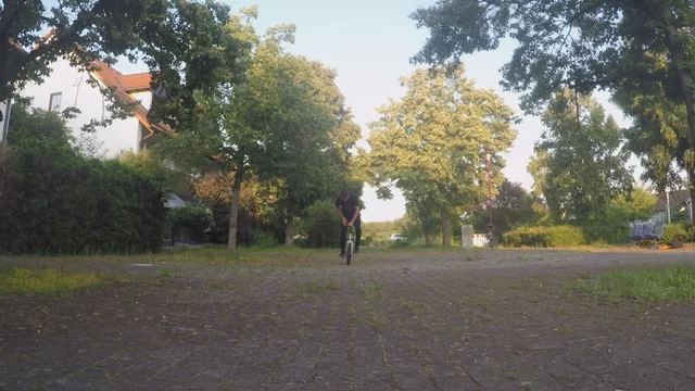 riu submission: 270-steezejam-90side
