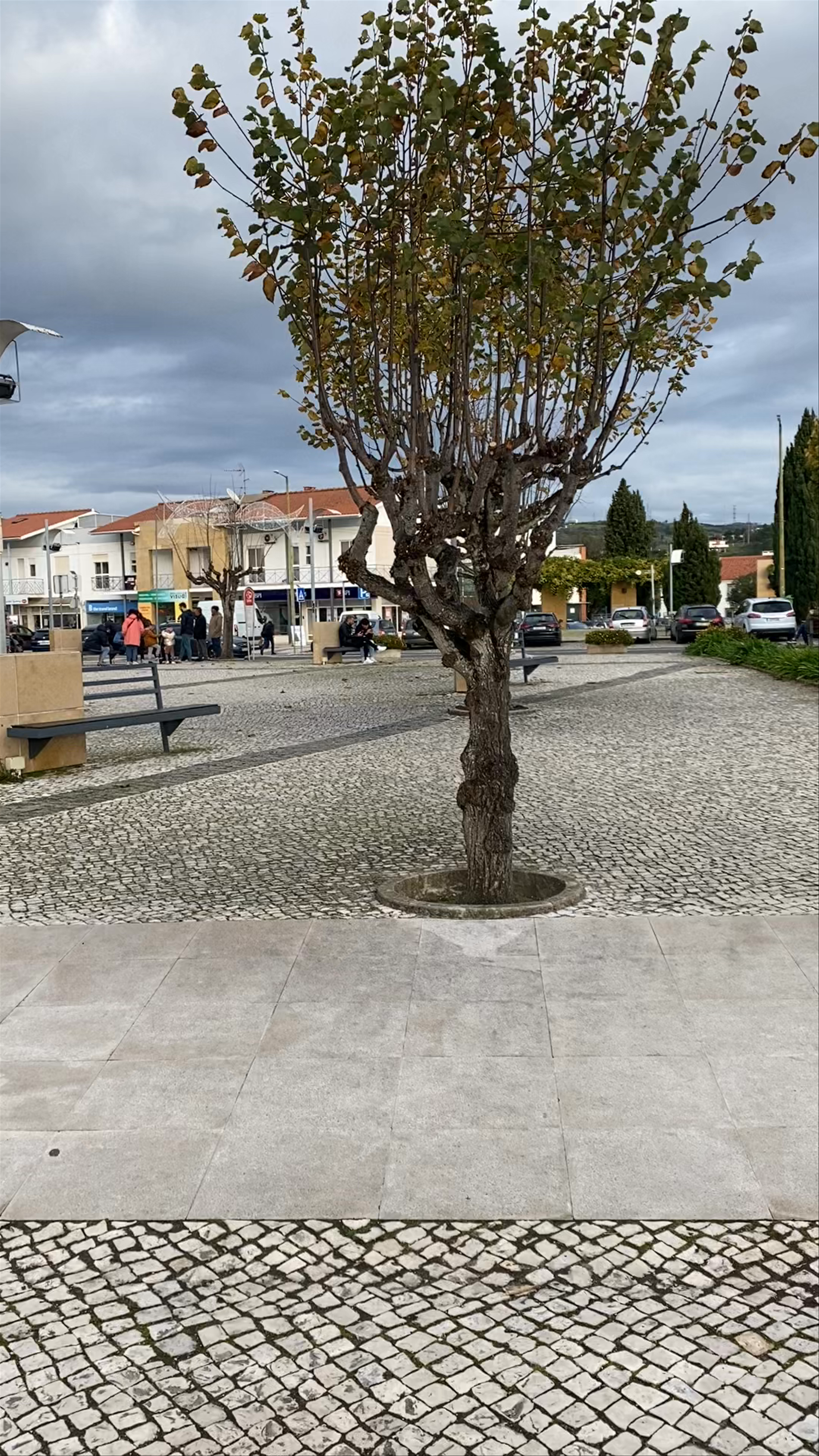 Praça de Mouzinho Albuquerque 8