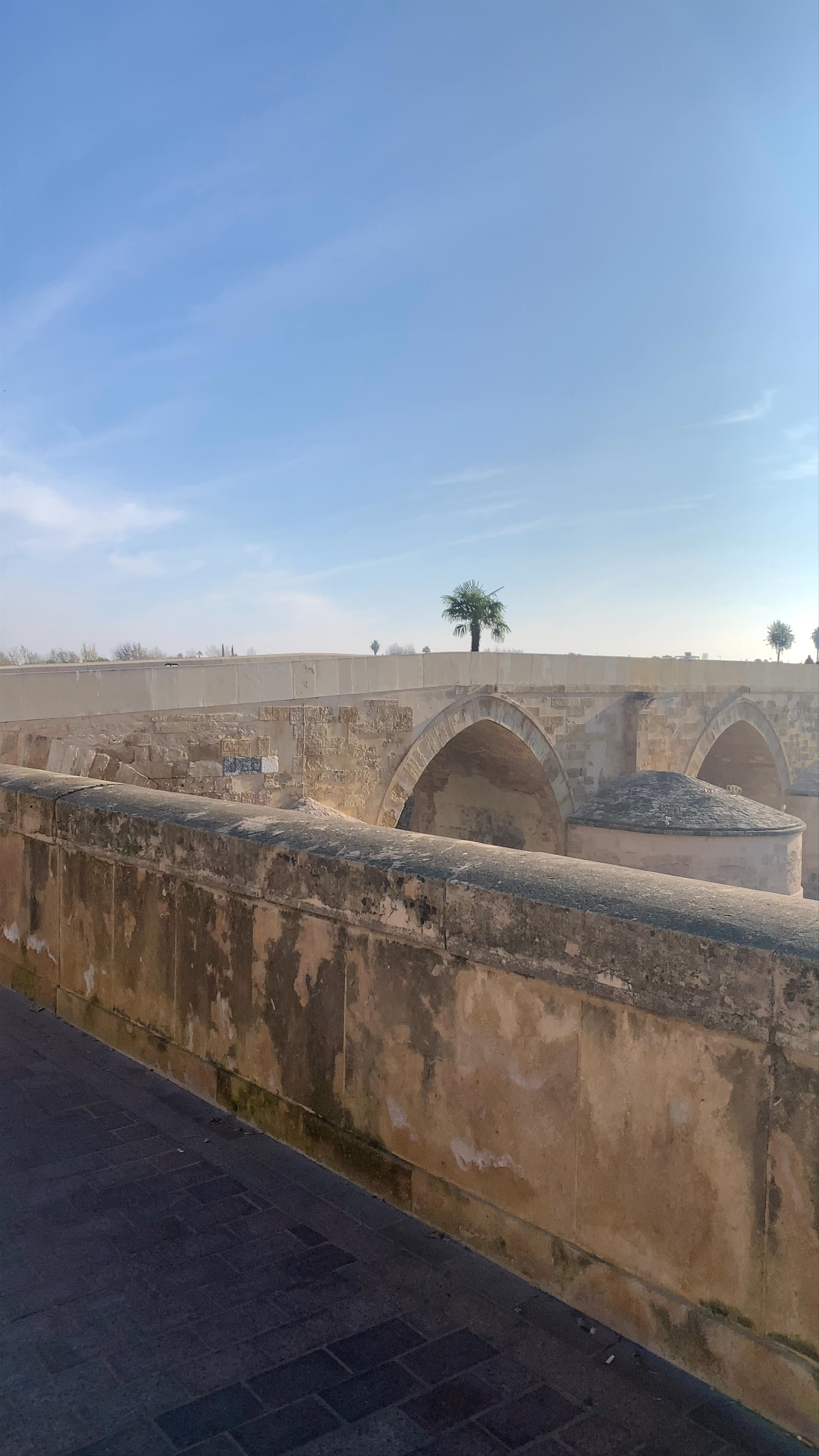 Puente Romano de Córdoba