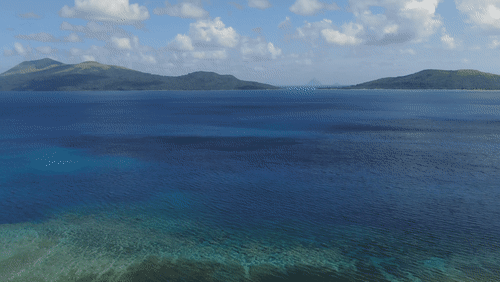 Aerial View of North Efate' Coast, Vanuatu animated gif