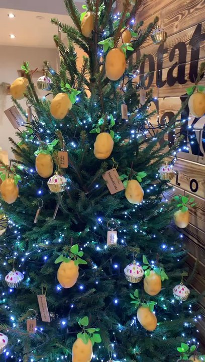 Potato and Cake - Cafes Near Me - Wilmslow, CHE