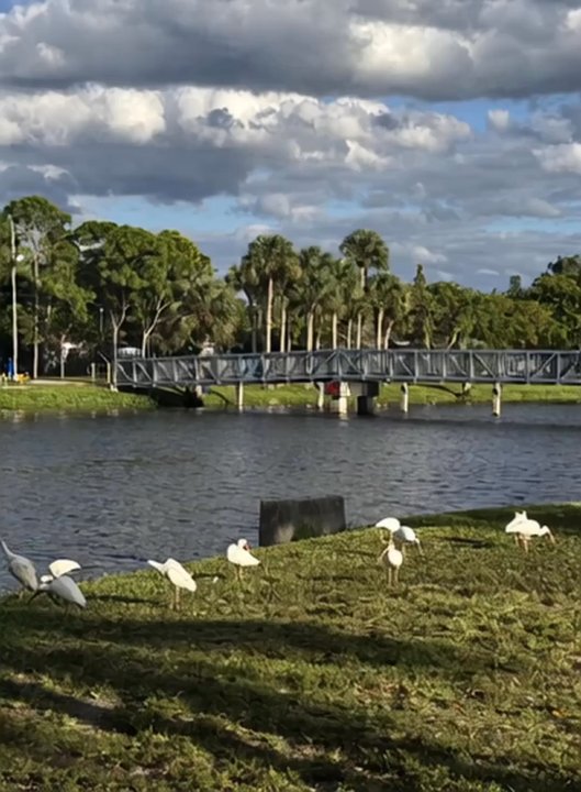 Snake Creek Trail - Snake Creek Canal is a liability waiting f to happen. Animal abuse, people pull out guns to shoot wildlife....welcome - Parks Near Me - Miami, Florida