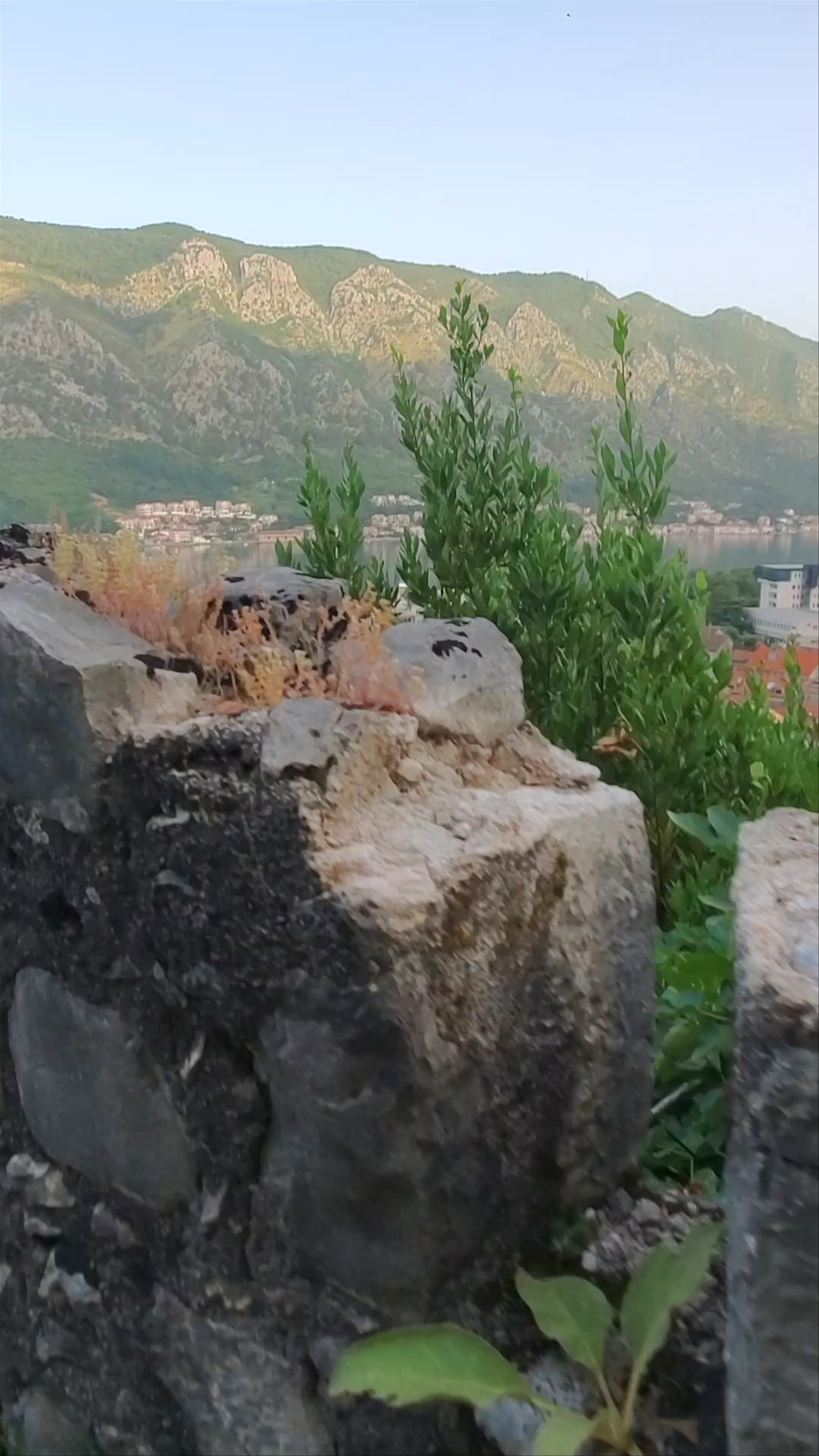Kotor Fortress
