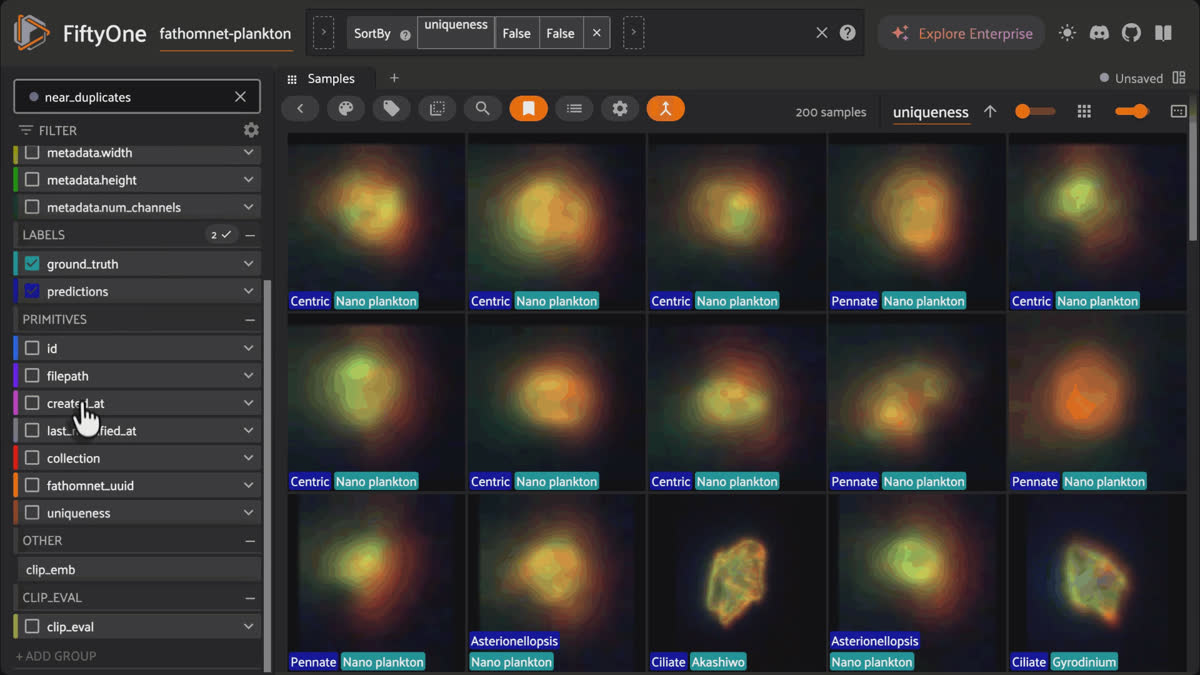 Sorting FathomNet plankton crops by uniqueness in the FiftyOne App to surface near-duplicate Nano plankton images