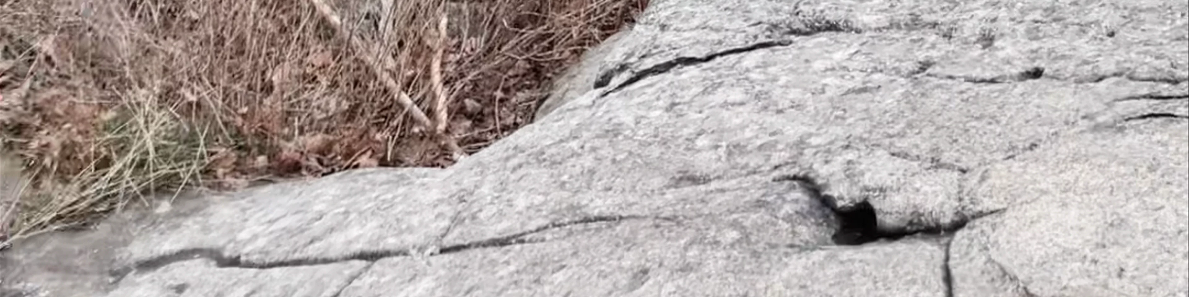 Mont Saint-Grégoire