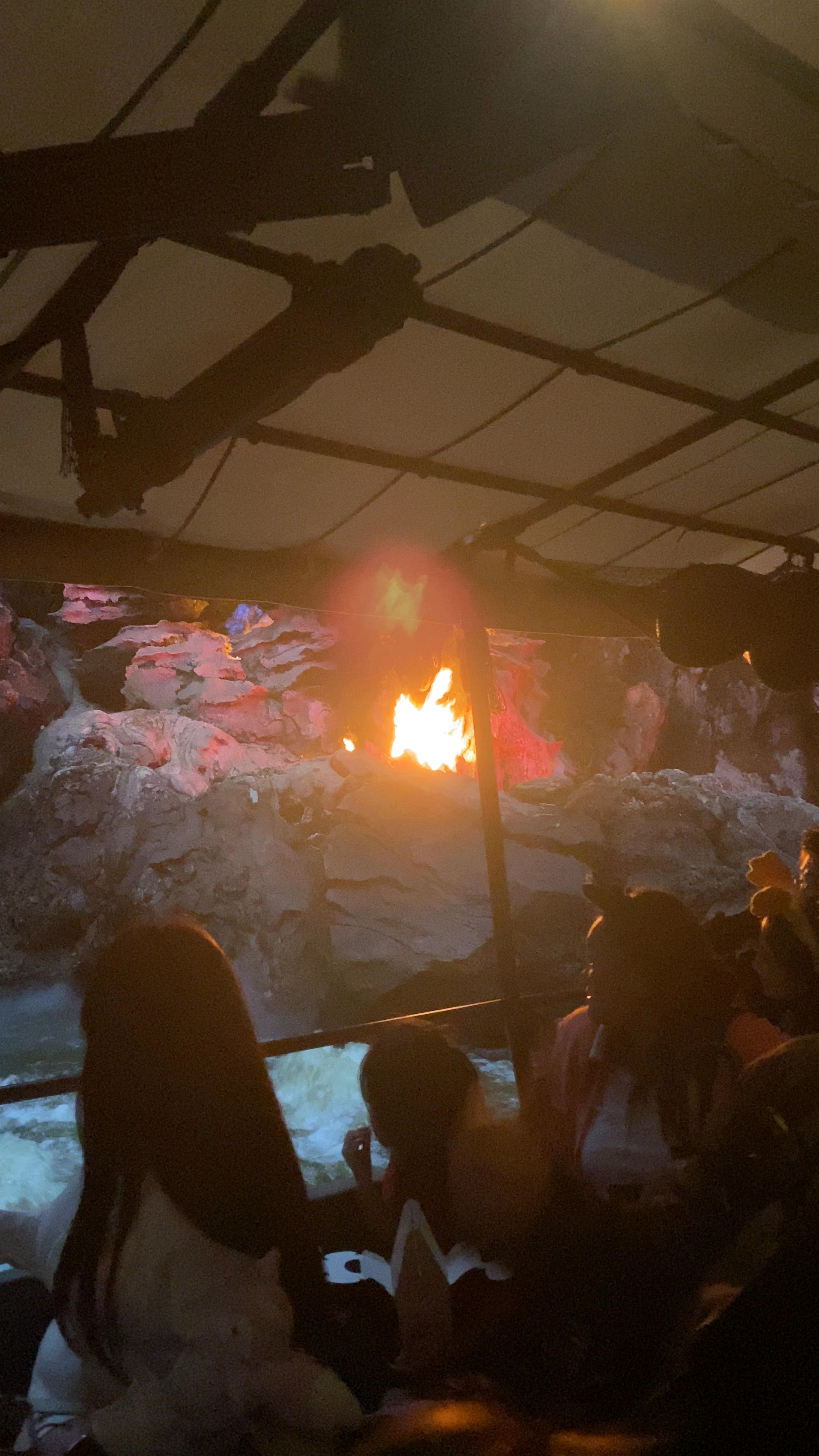 Jungle River Cruise