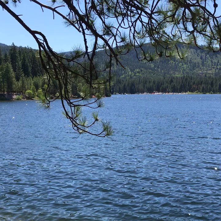 Lake Siskiyou - Beautiful Lake Siskiyou! - Lakes Near Me - Mt Shasta, California