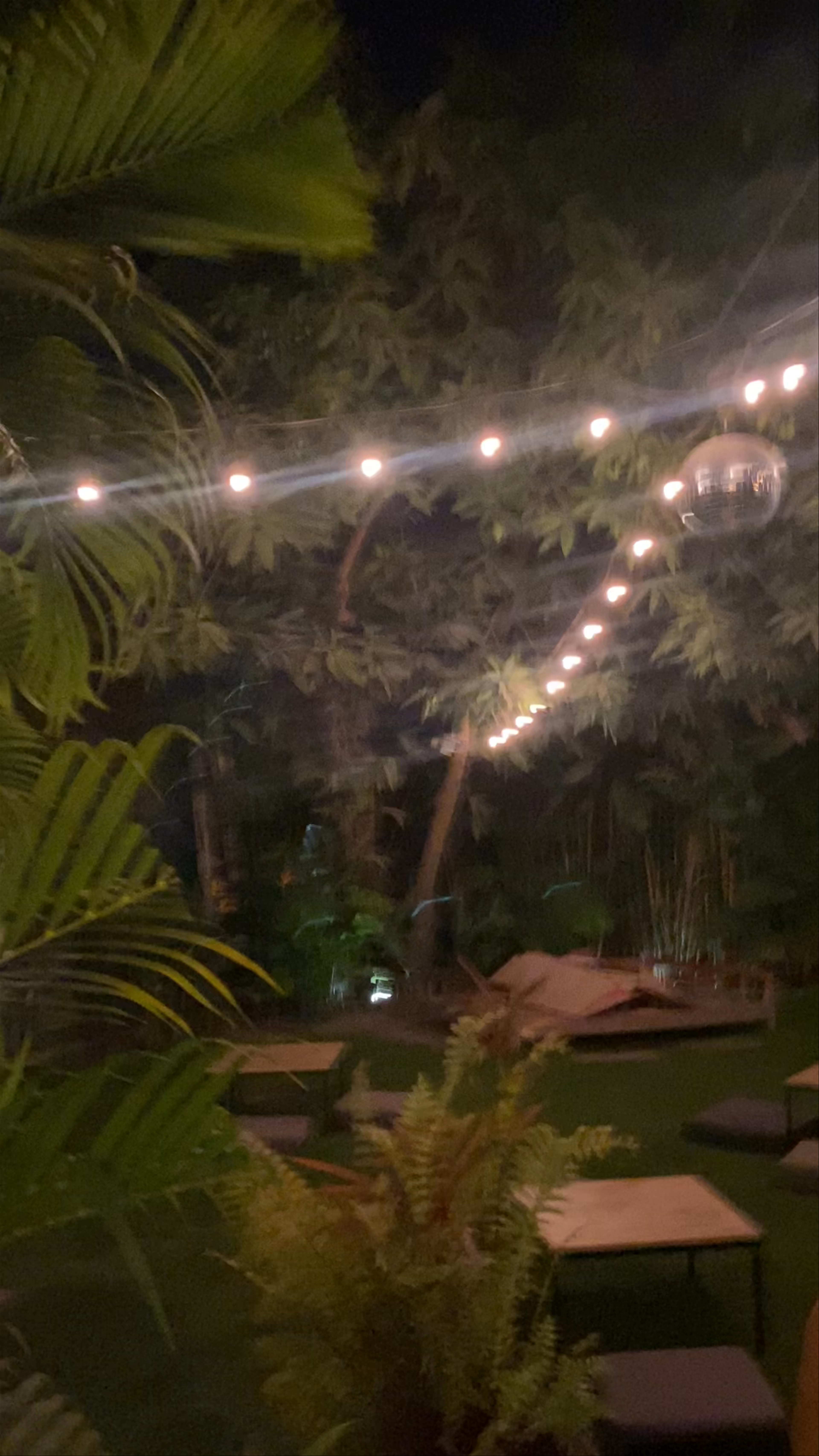 WILD - Creative Bar & Spring Rolls Restaurant Evening Ambiance