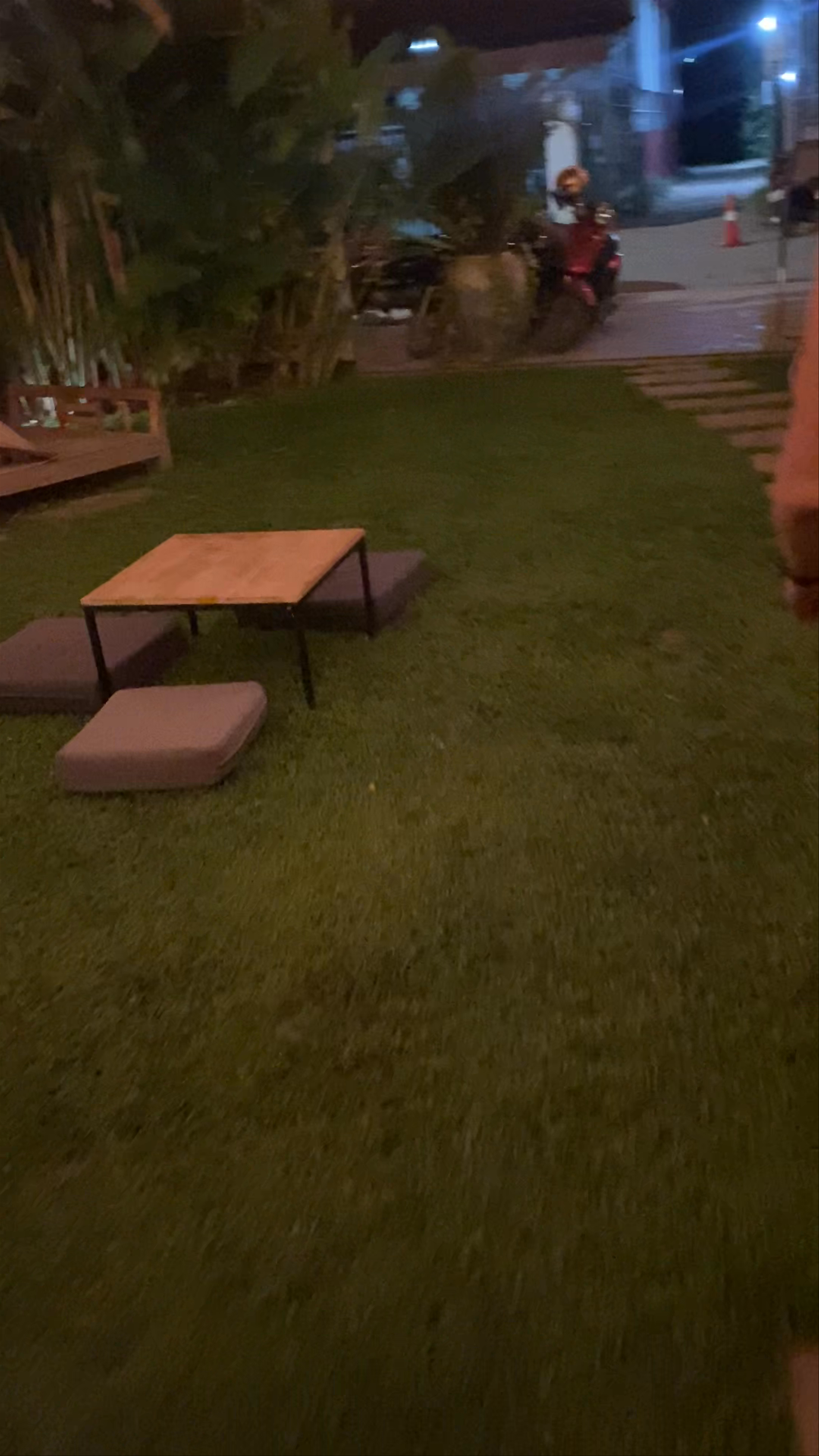 WILD - Creative Bar & Spring Rolls Restaurant