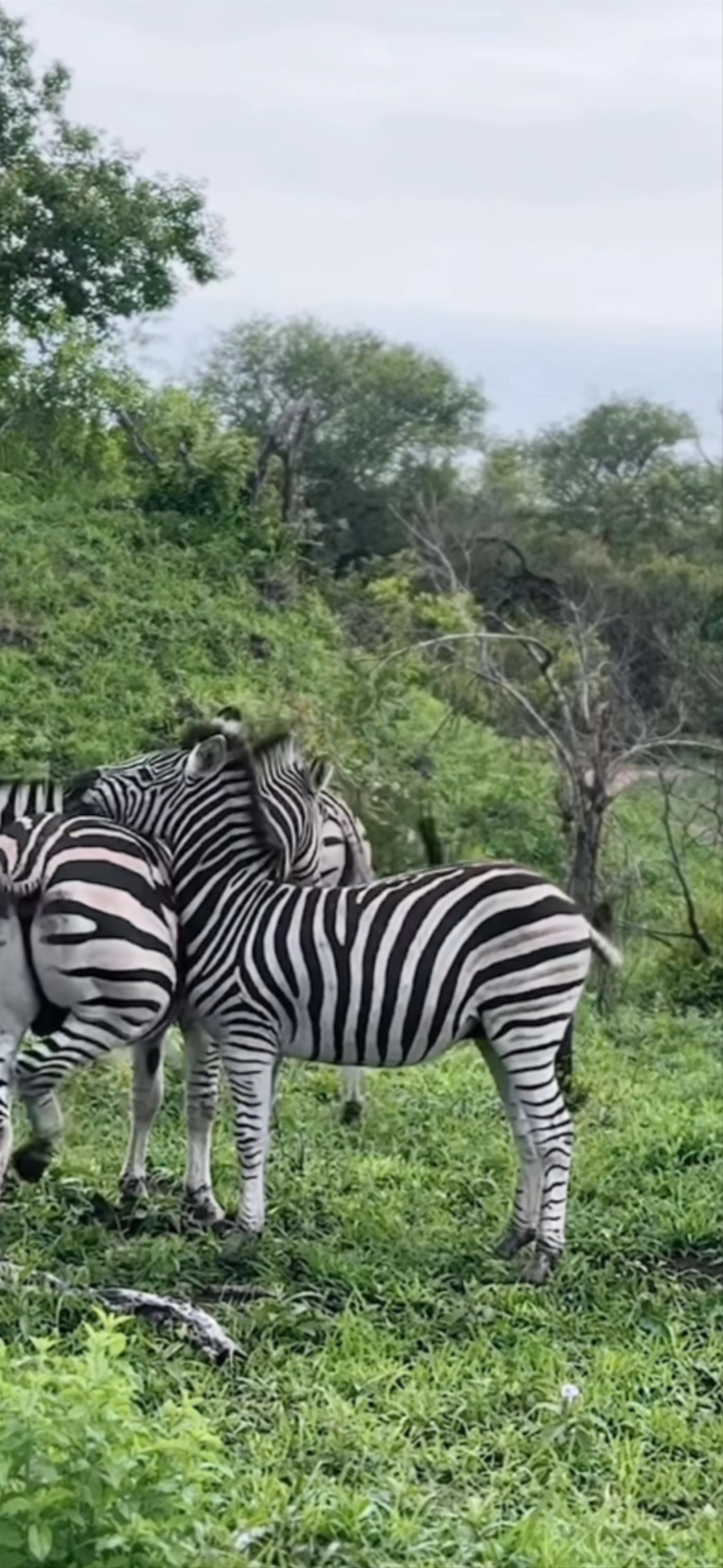 Kruger National Park