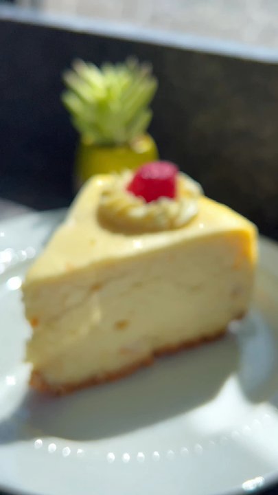 Tazza Coffee - Coffee & Tea Near Me - Joliet, Illinois