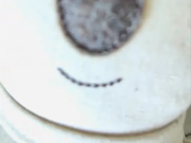 Koola baby koala