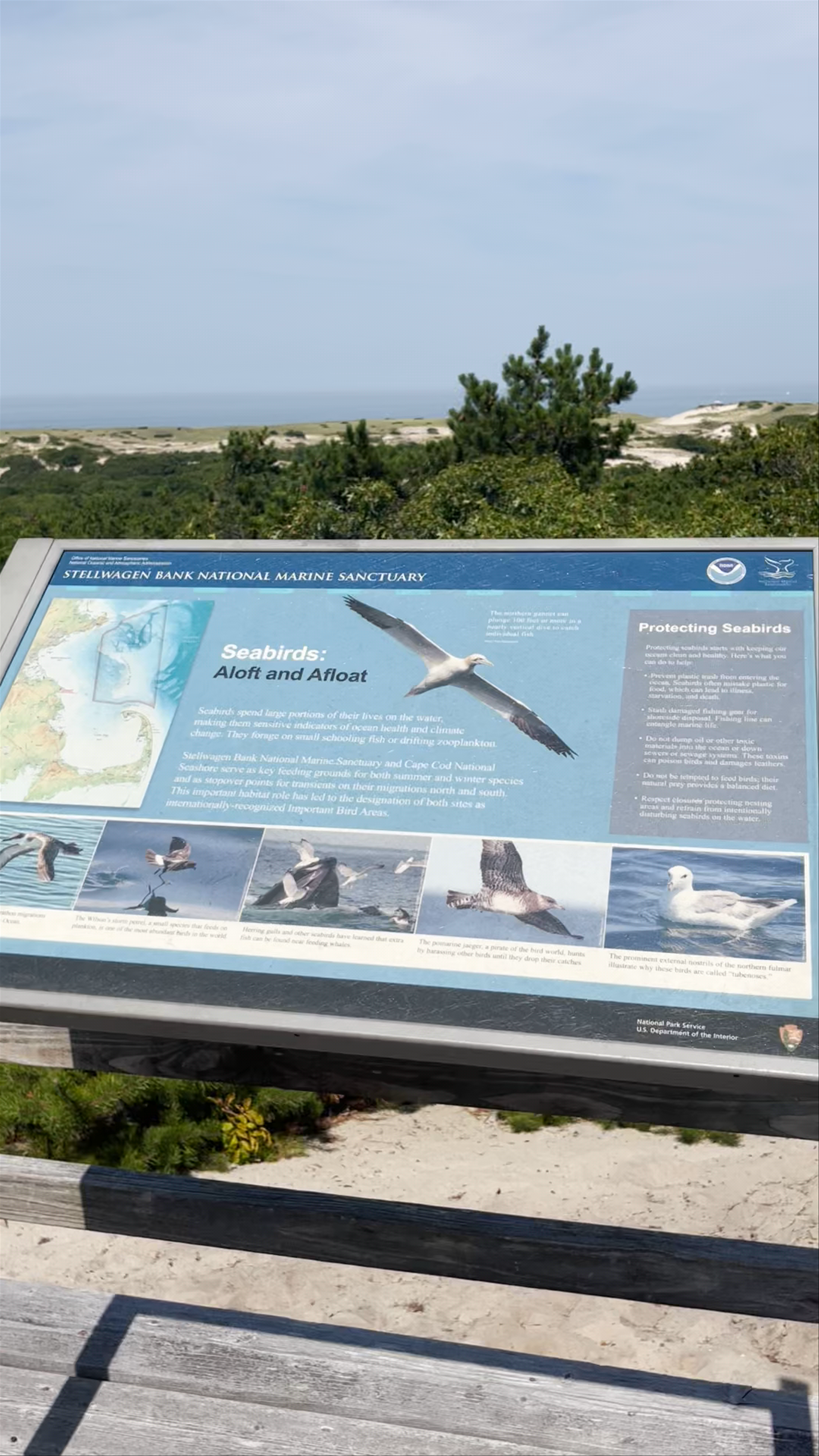 Stellwagen Bank National Marine Sanctuary