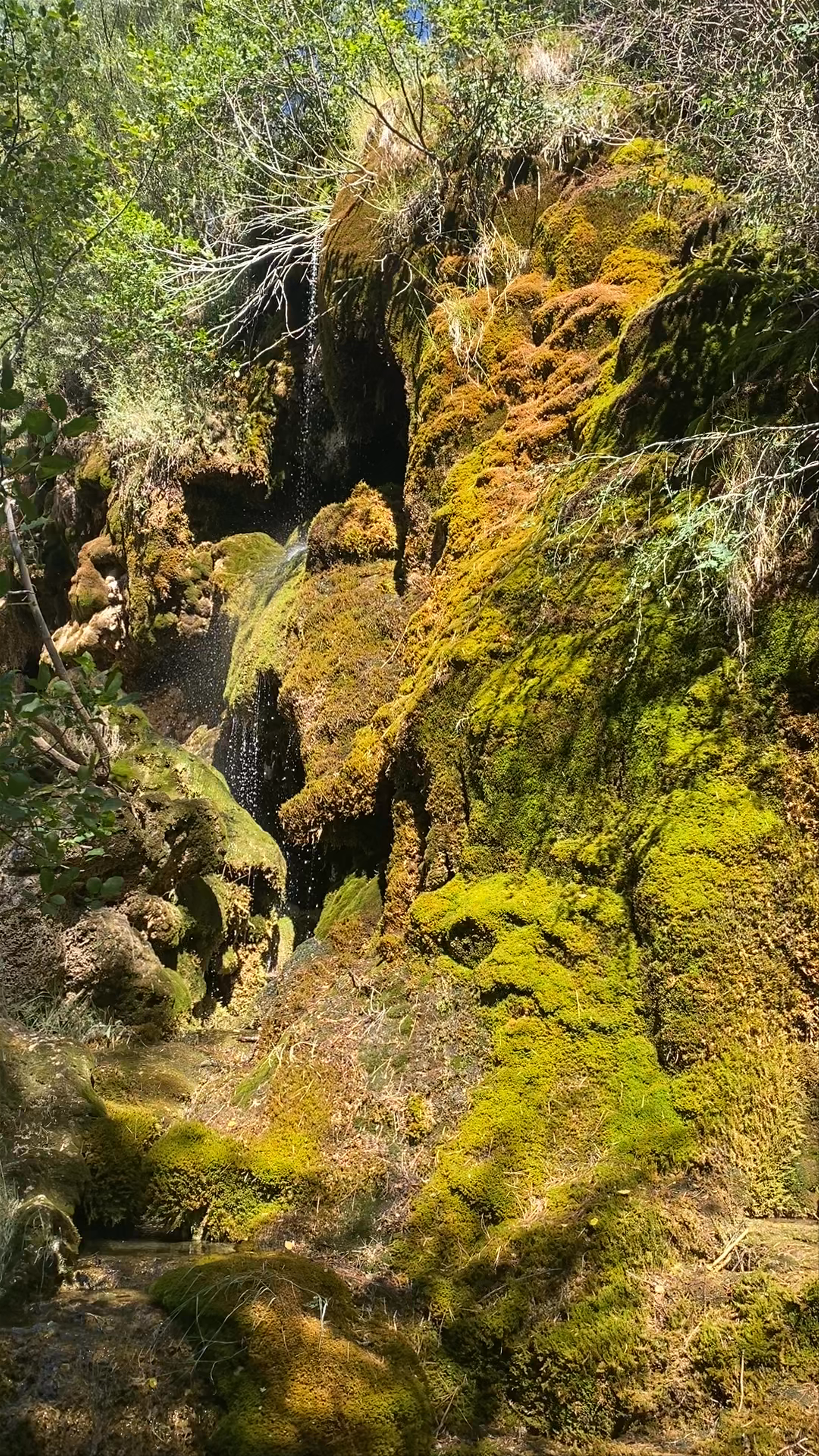 Nacimiento del Río Cuervo