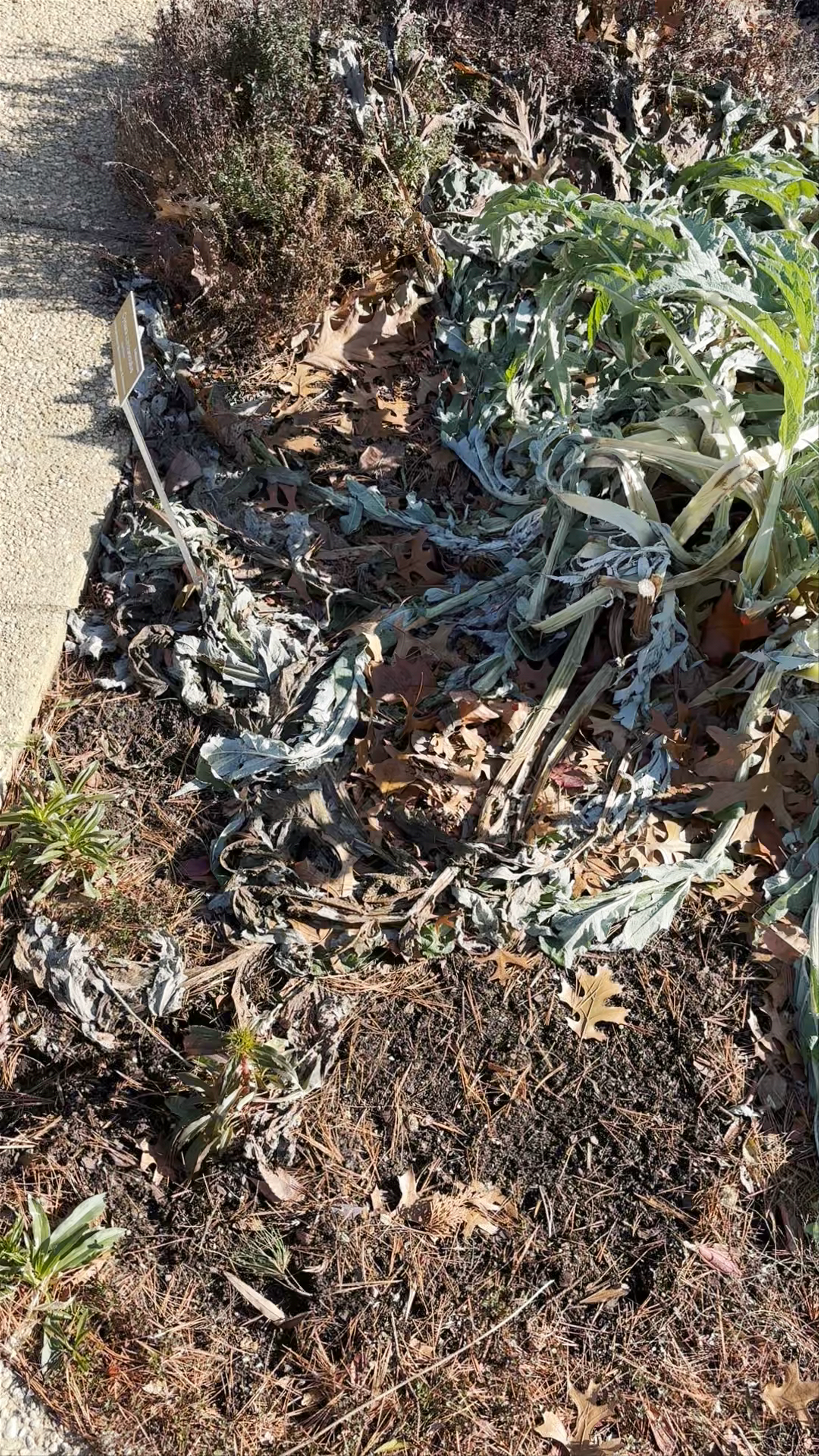 Bartholdi Fountain and Gardens (U.S. Botanic Garden)