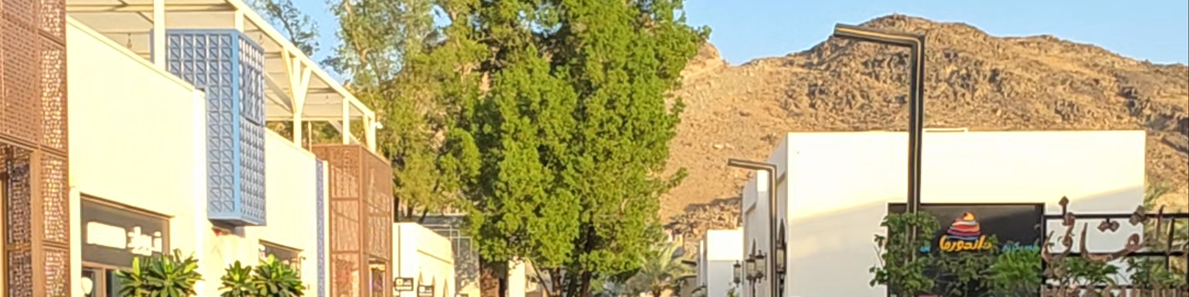 Saudi Arabia