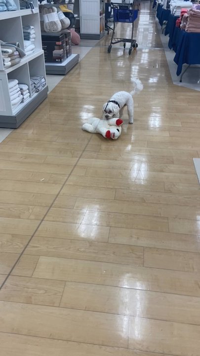 Marshalls - Department Stores Near Me - Miami, Florida
