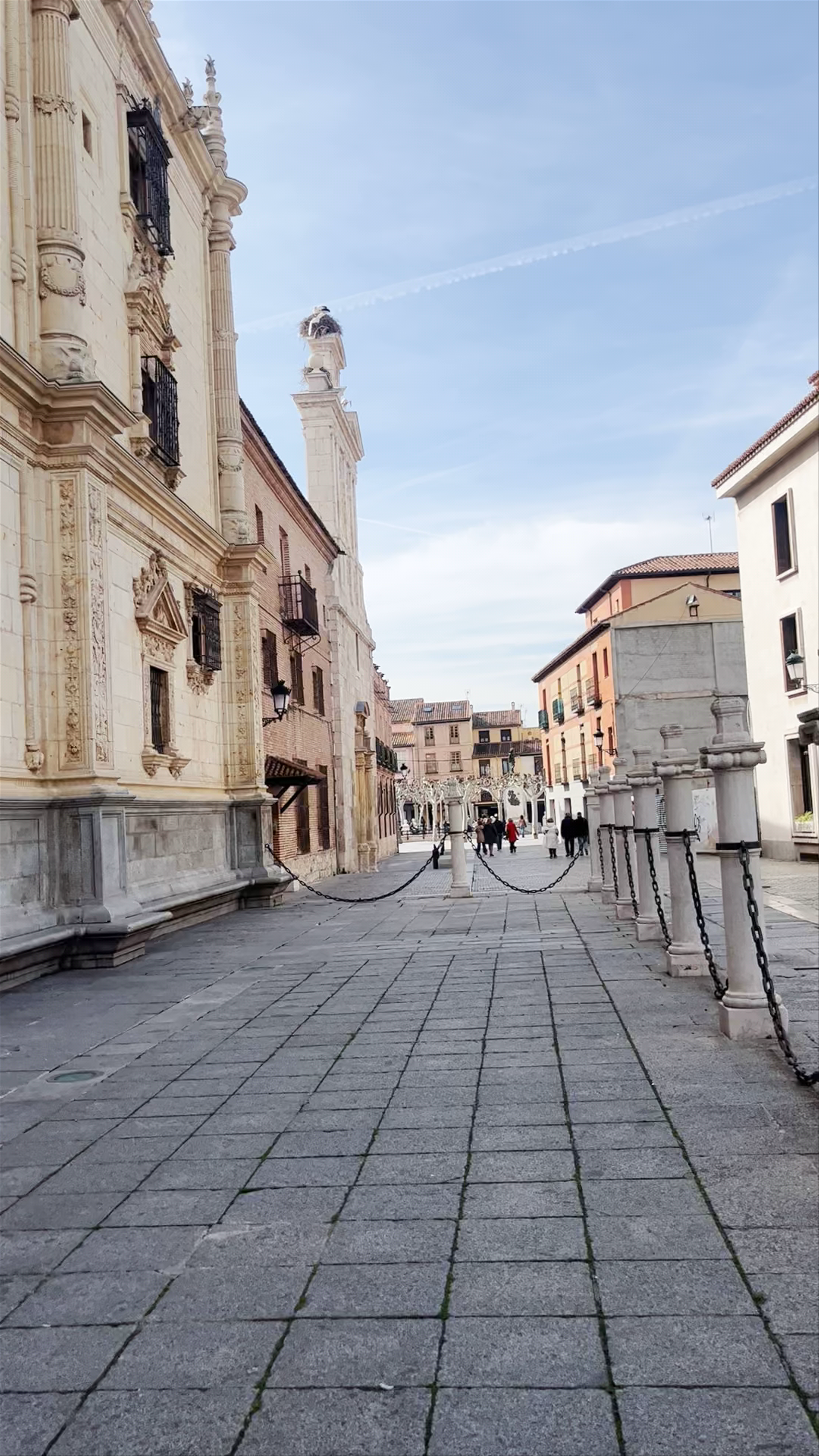 Universidad de Alcalá de Henares