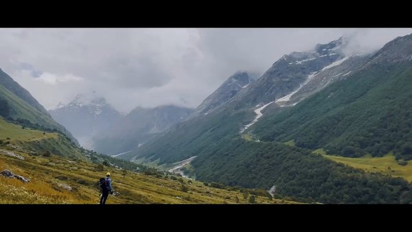 Photo of Valley of Flowers #T