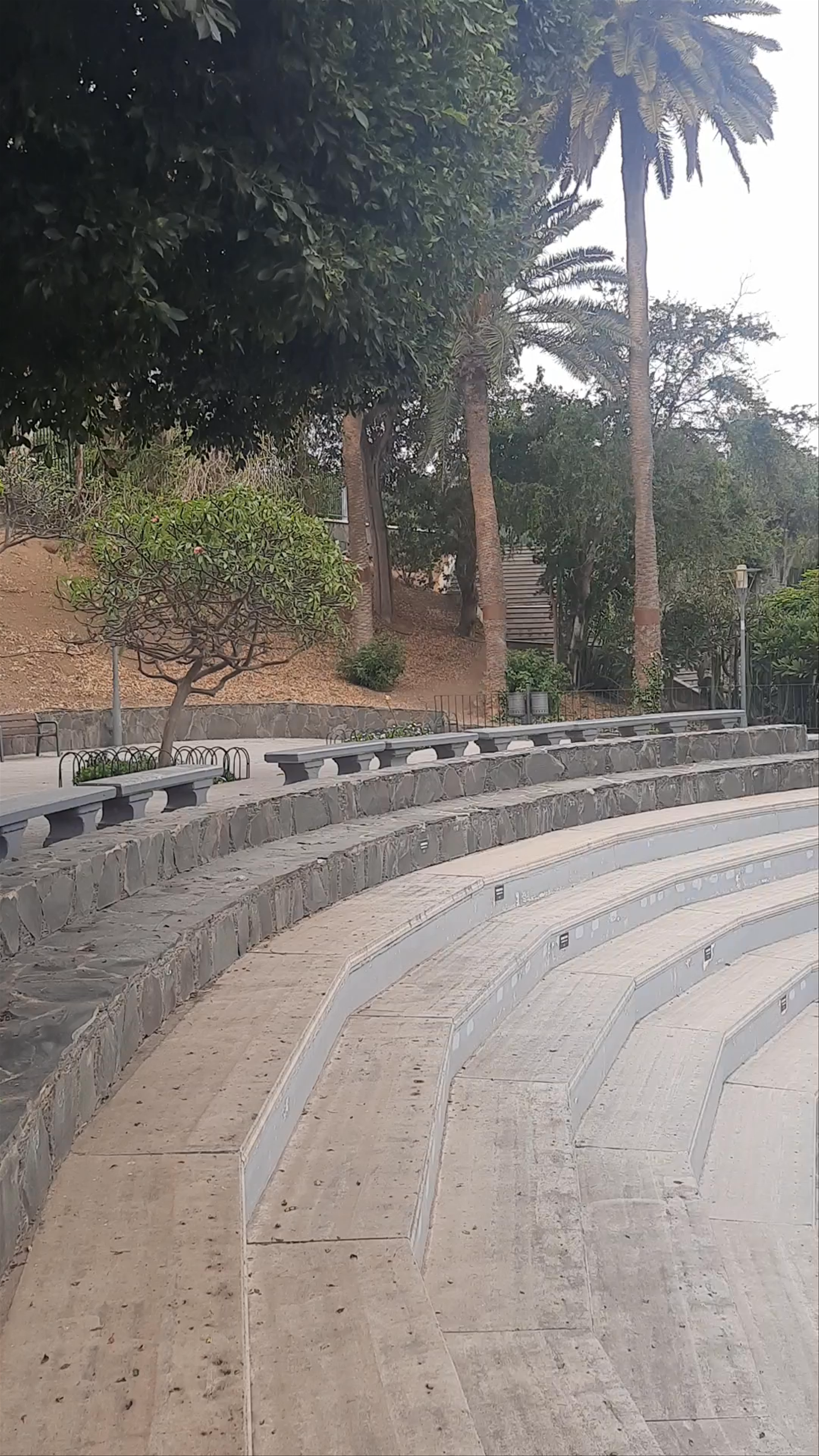 Serene Green Escape at Parque Doramas, Las Palmas de Gran Canaria