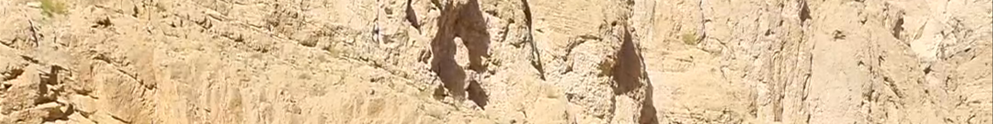 Tours & experiences in Oman