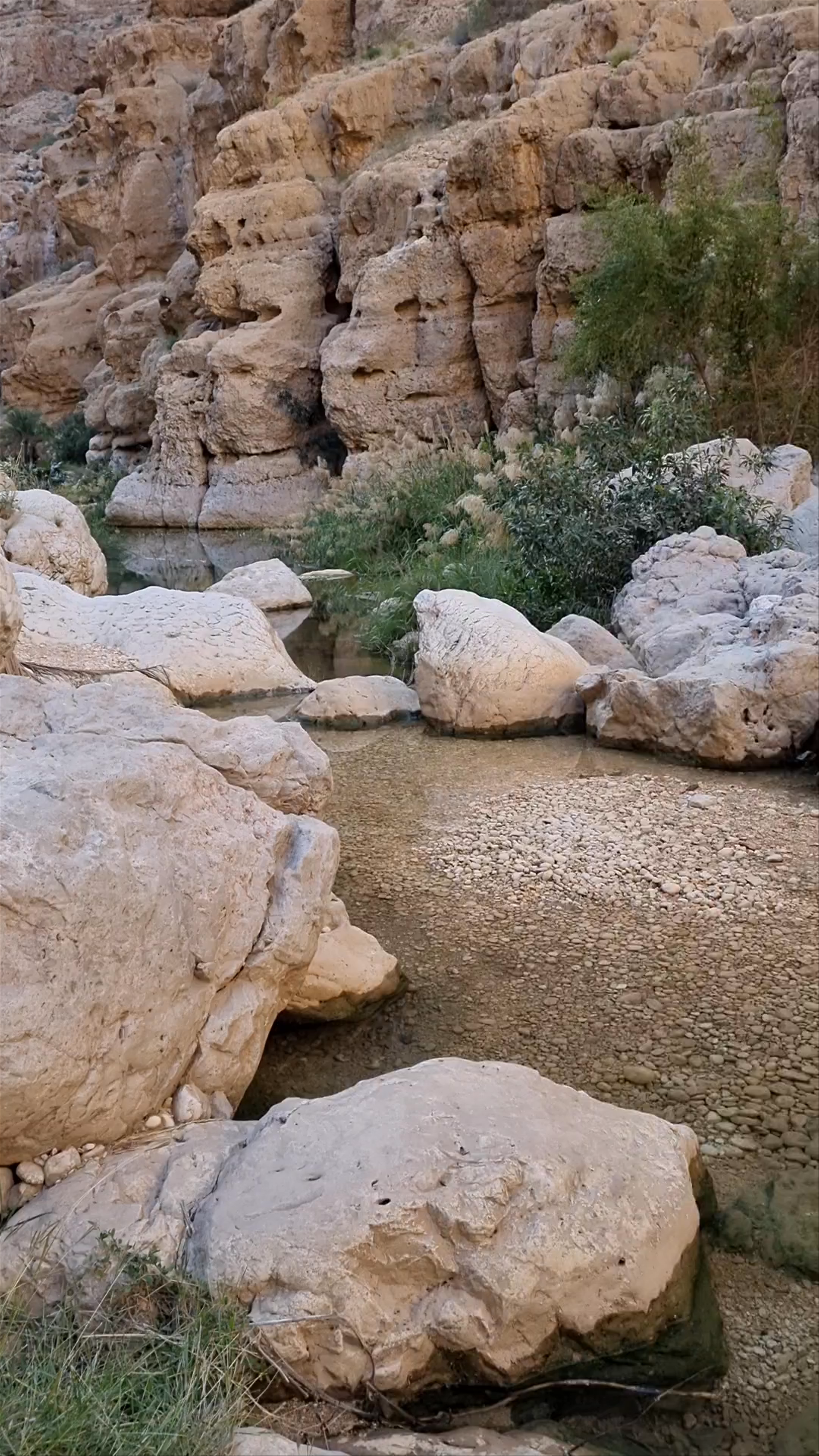 Wadi Shab
