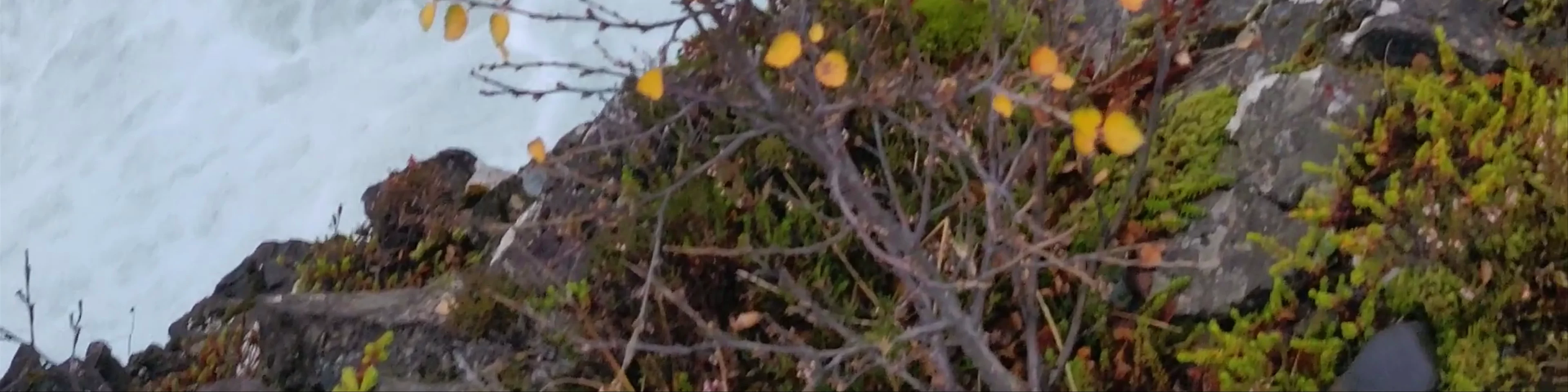 Barnafossar