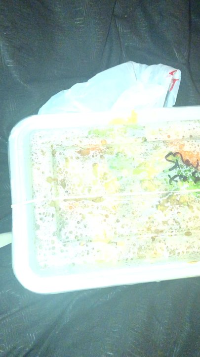 Masaman Thai Kitchen - I love this, so smart and effective :) - Thai Near Me - Birmingham, Alabama