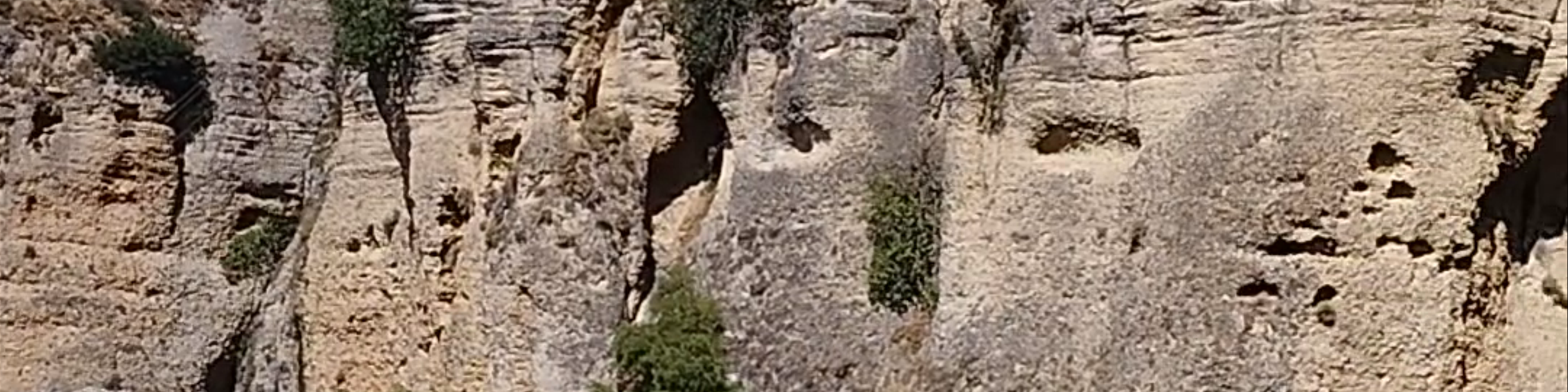 Ronda