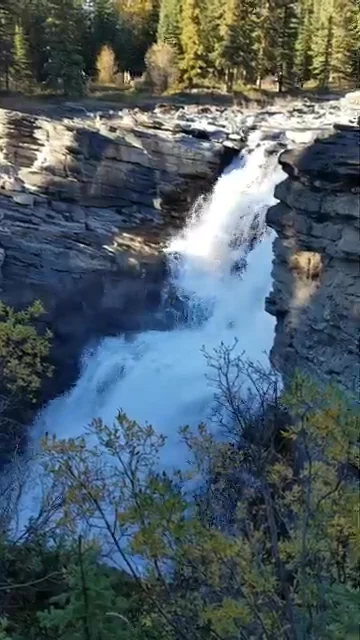 Athabasca Falls