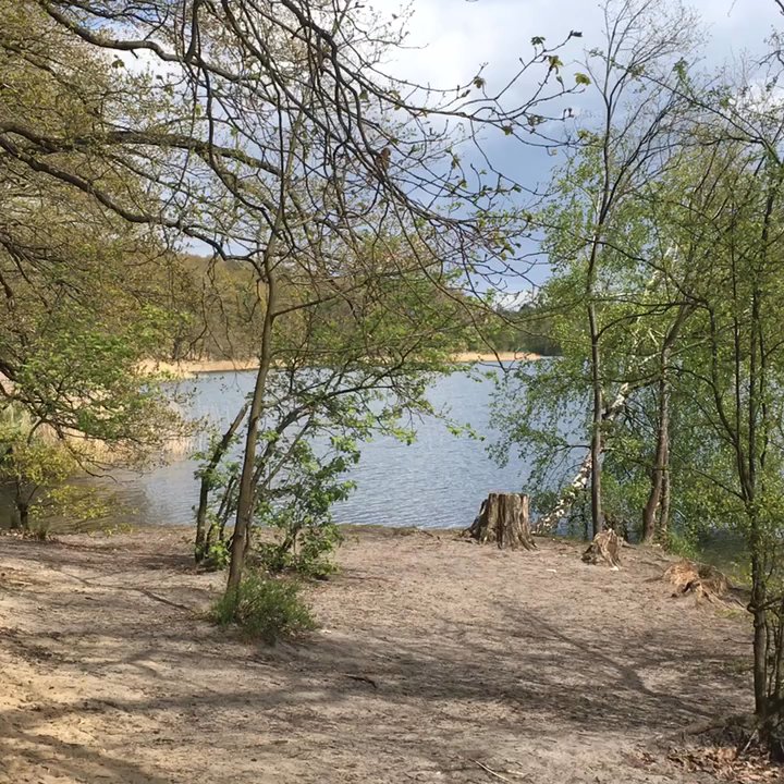Krumme Lanke - Immer einen Ausflug wert ... - Lakes Near Me - Berlin, BE