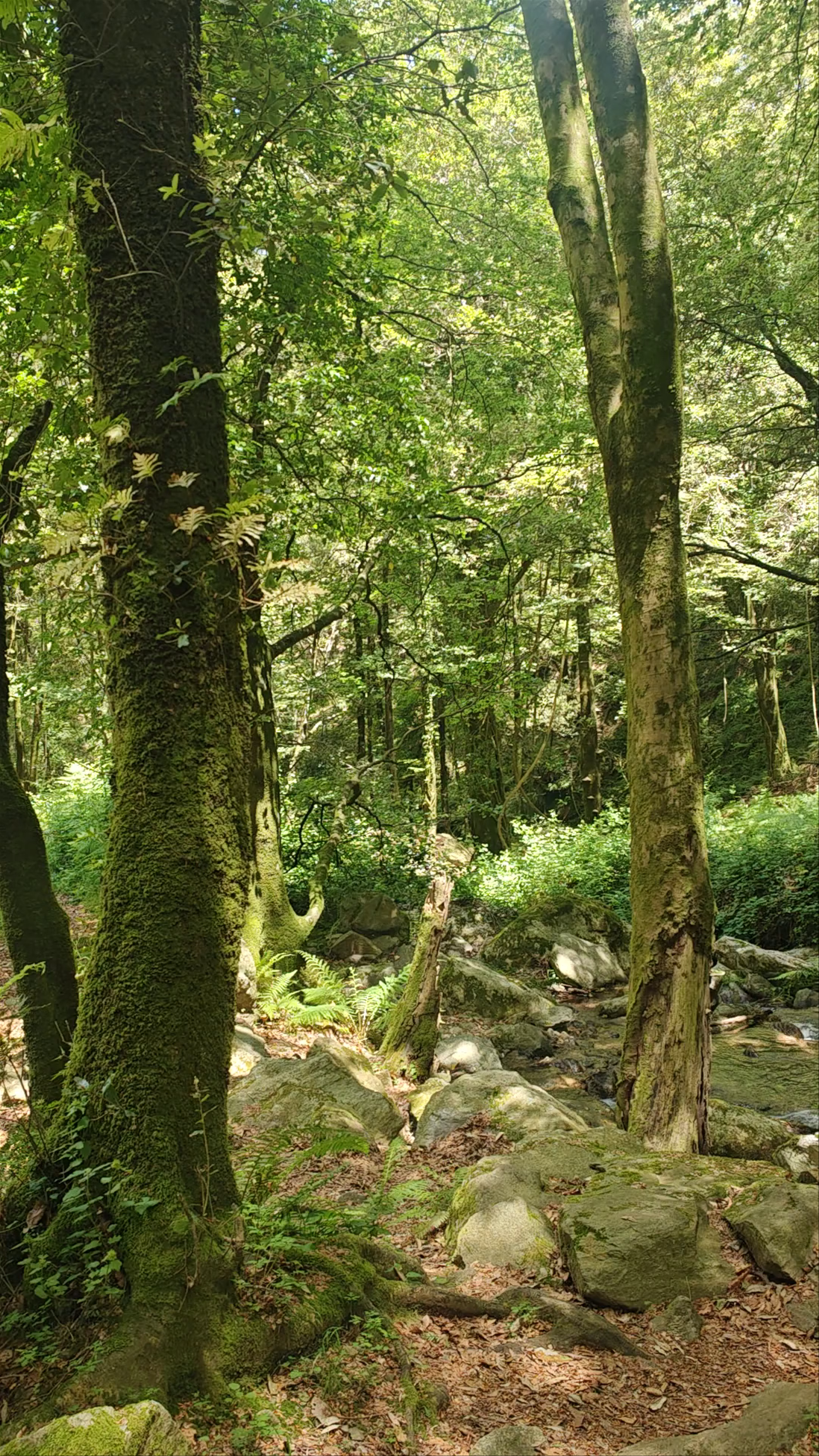 Cascate Mundu e Galasia