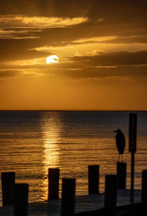 B & J Seafood - Sunsetting after a good meal at B&J.Seafood. - Seafood Markets Near Me - Hammond, Louisiana