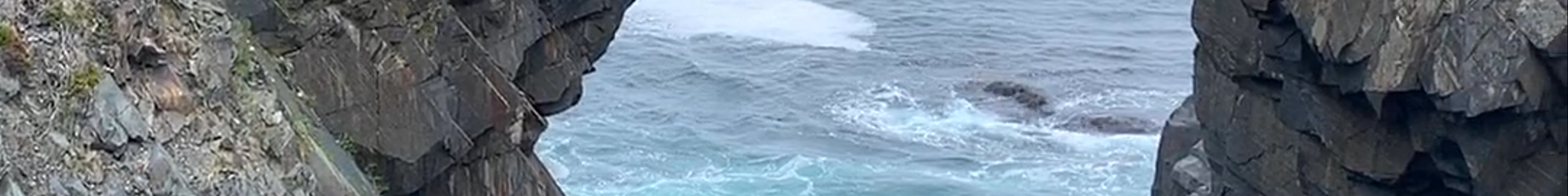 Tours & experiences in Witless Bay
