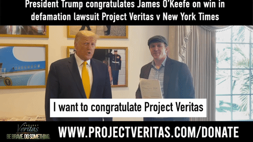 Video Thumbnail Loop