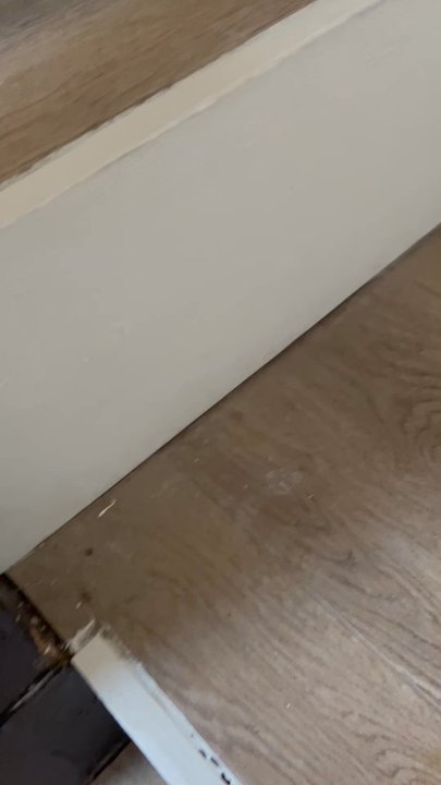 Savvy Bears - Flooring - Vacation Rentals Near Me
