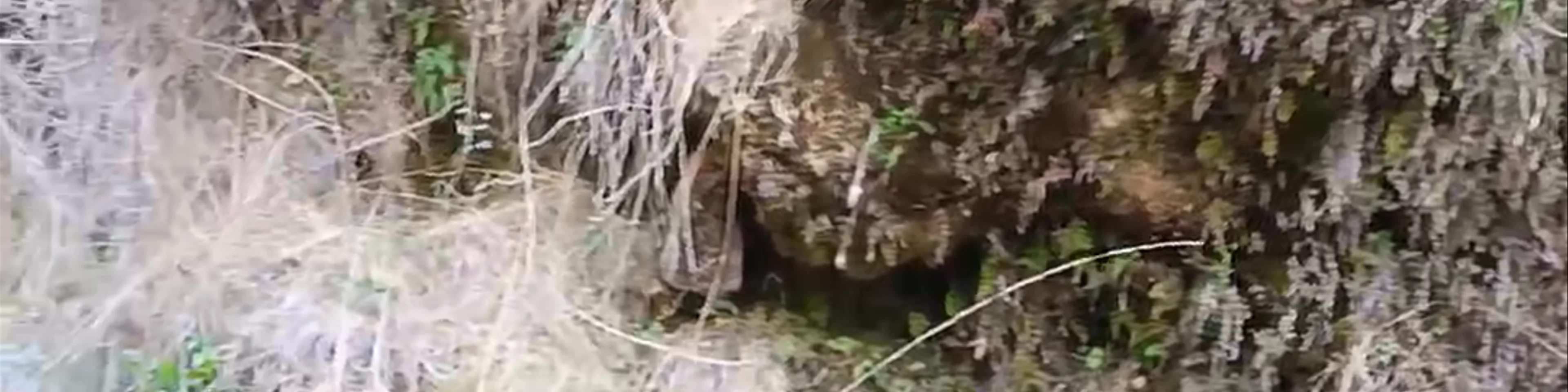 Cascada del Batán
