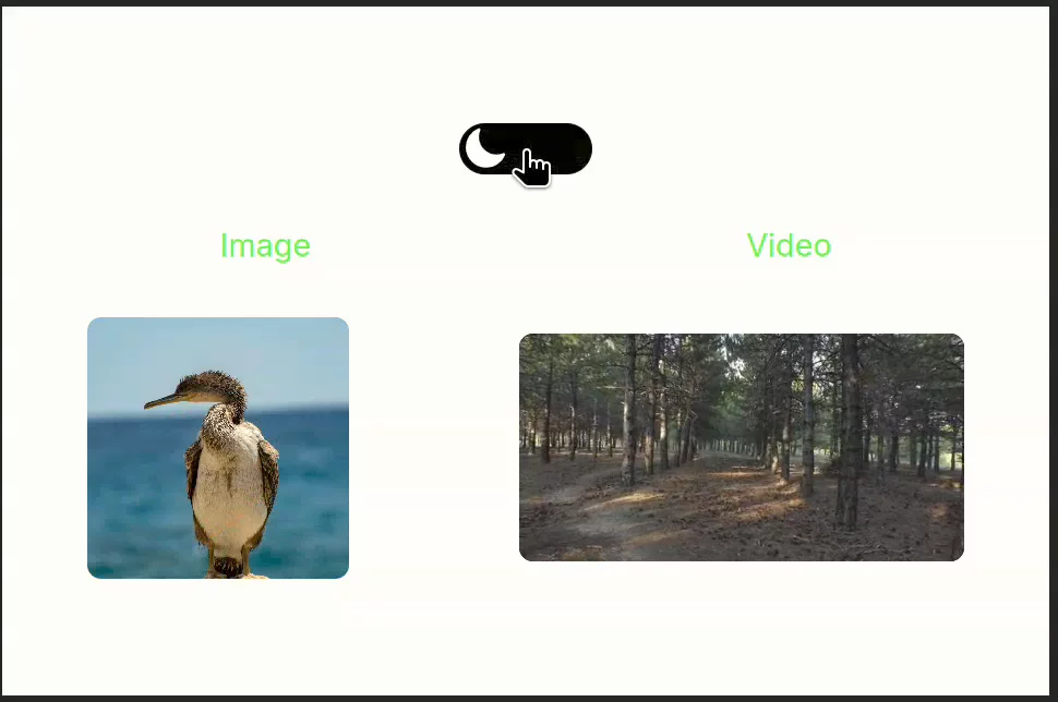 After Creating the Theme toggle ,  to switch between colors for Framer I Created two Component an  adaptive Image   (light+dark images )  and adaptive Video    (light+dark Videos)to create the full light and dark theme experience