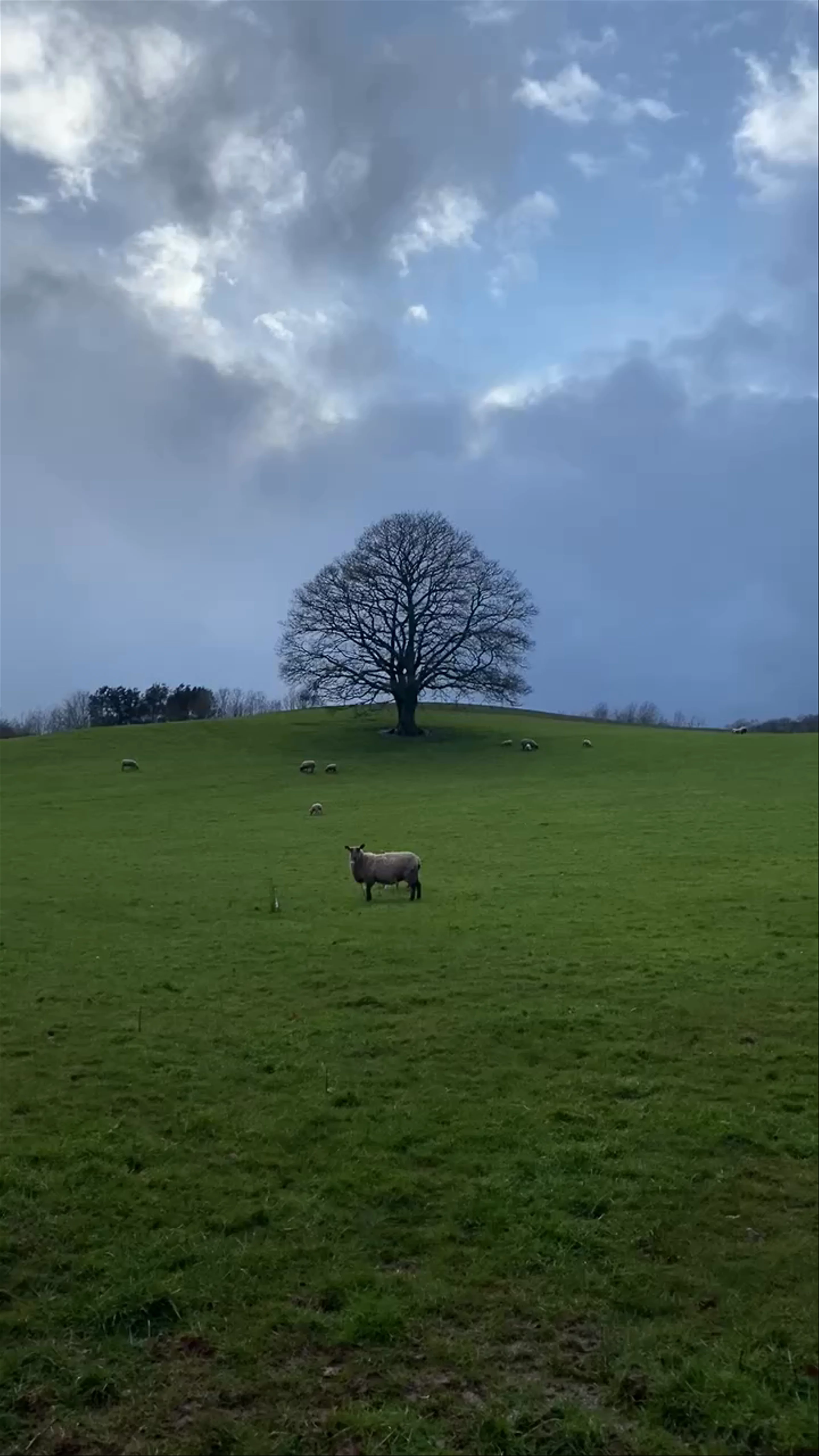 Twyn y Gaer