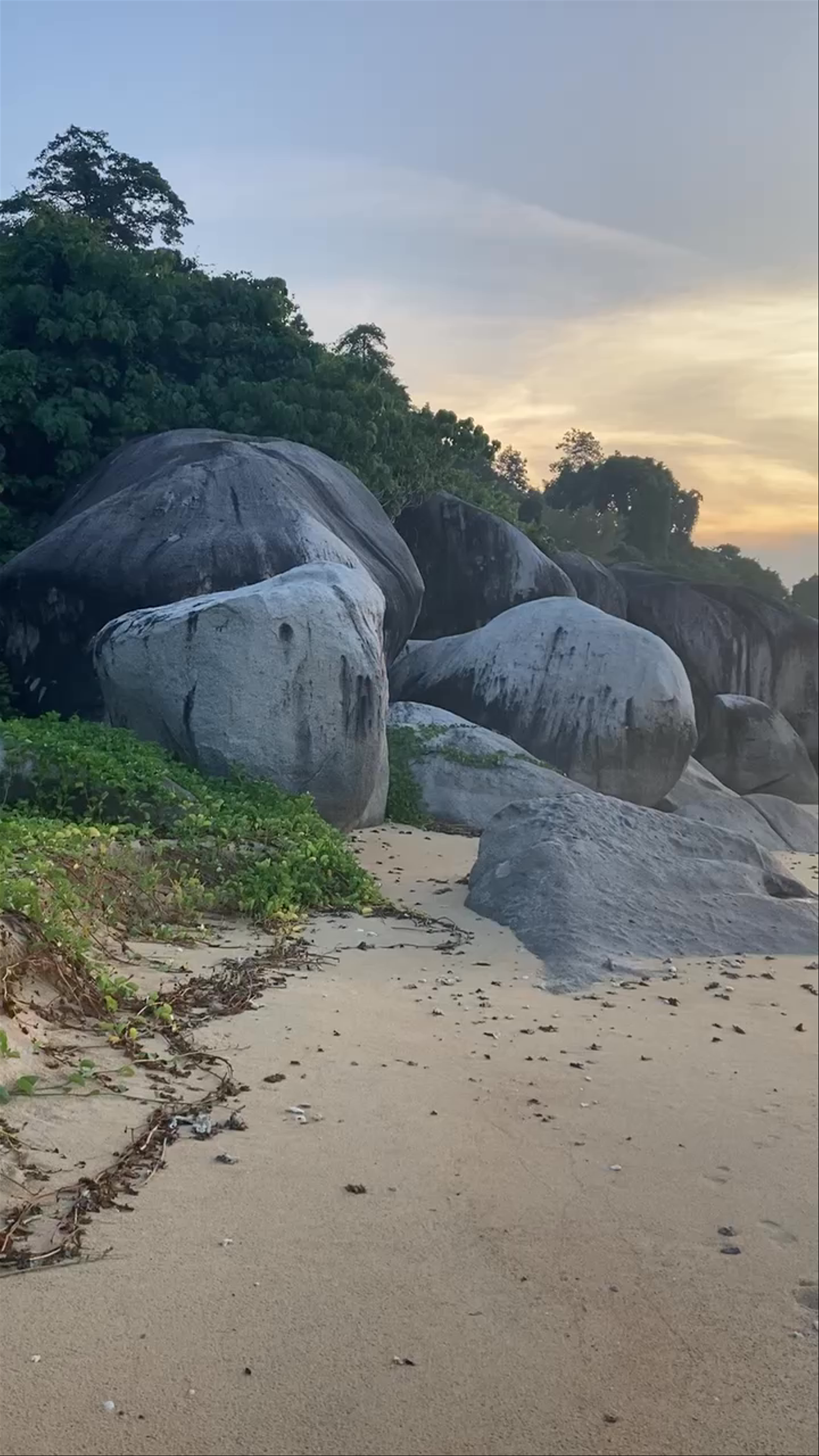 Tekek South Bay