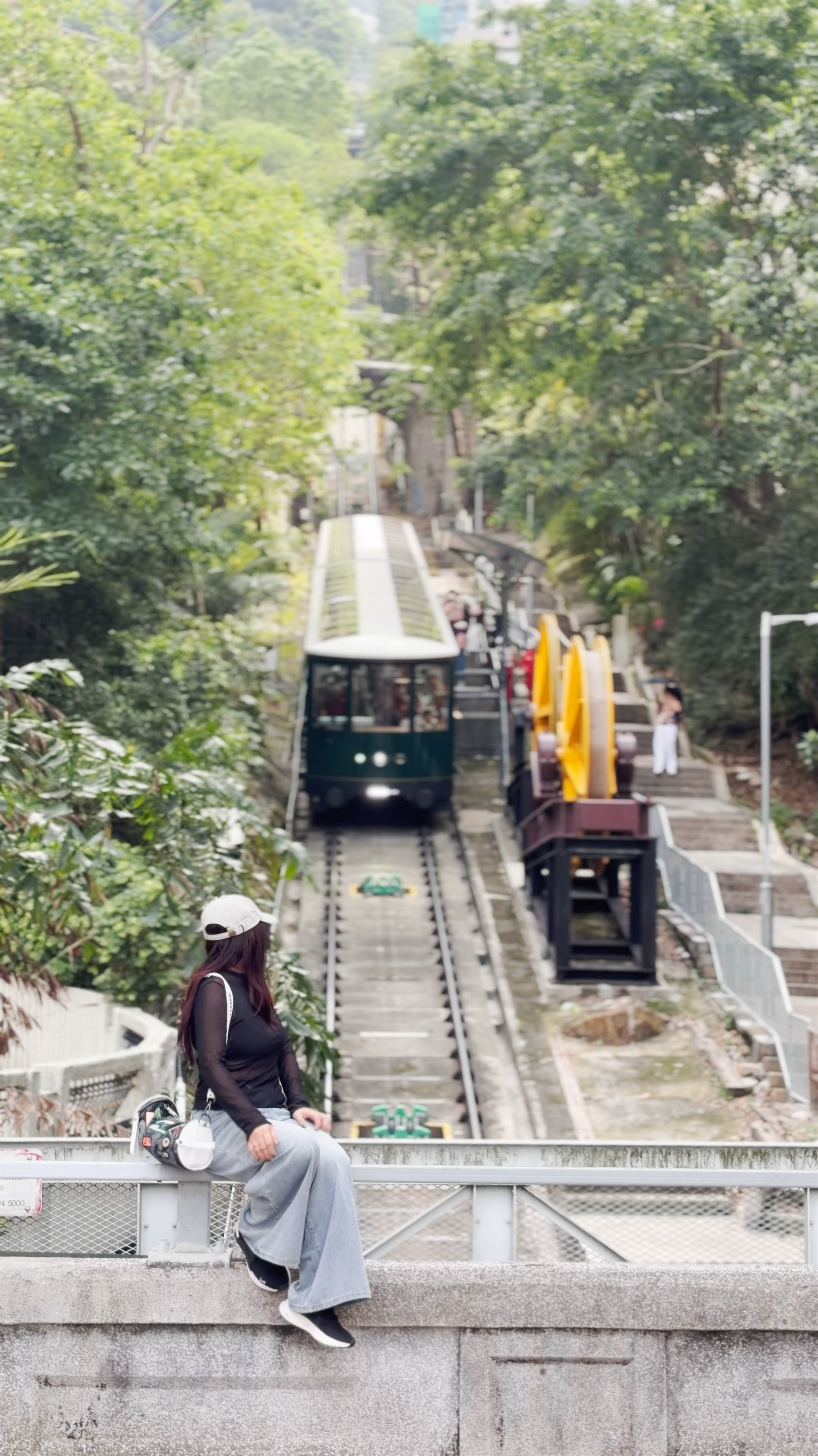Tramway Path; MacDonnell Road