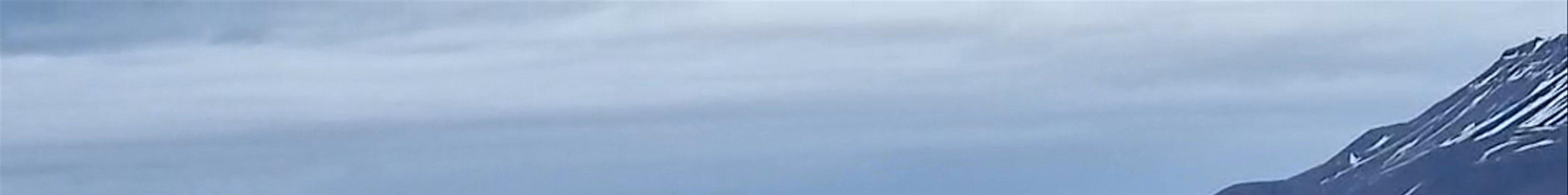 Tours & experiences in Svalbard and Jan Mayen