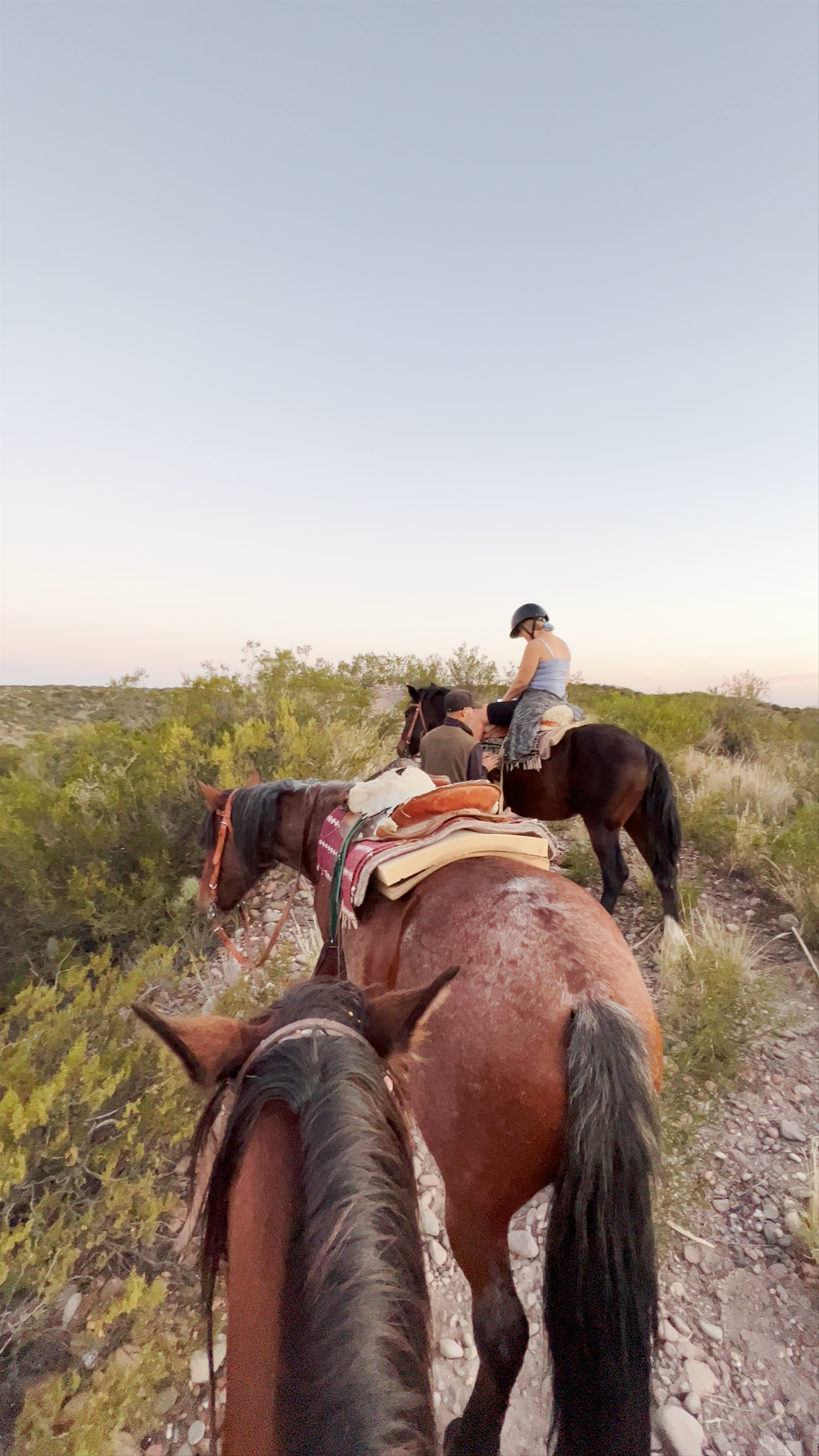 The Gaucho Experience