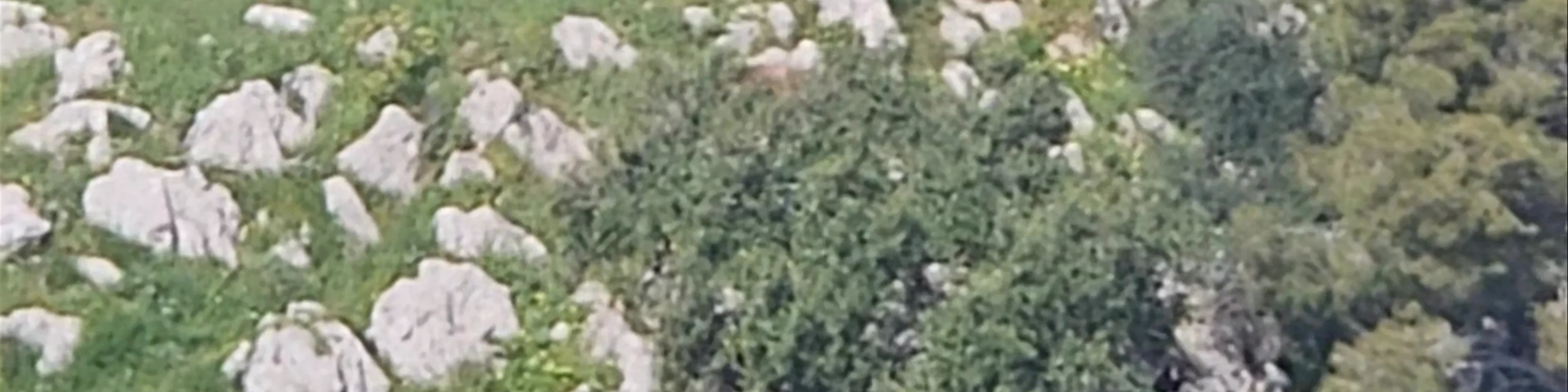 Belvedere di Monte Pellegrino