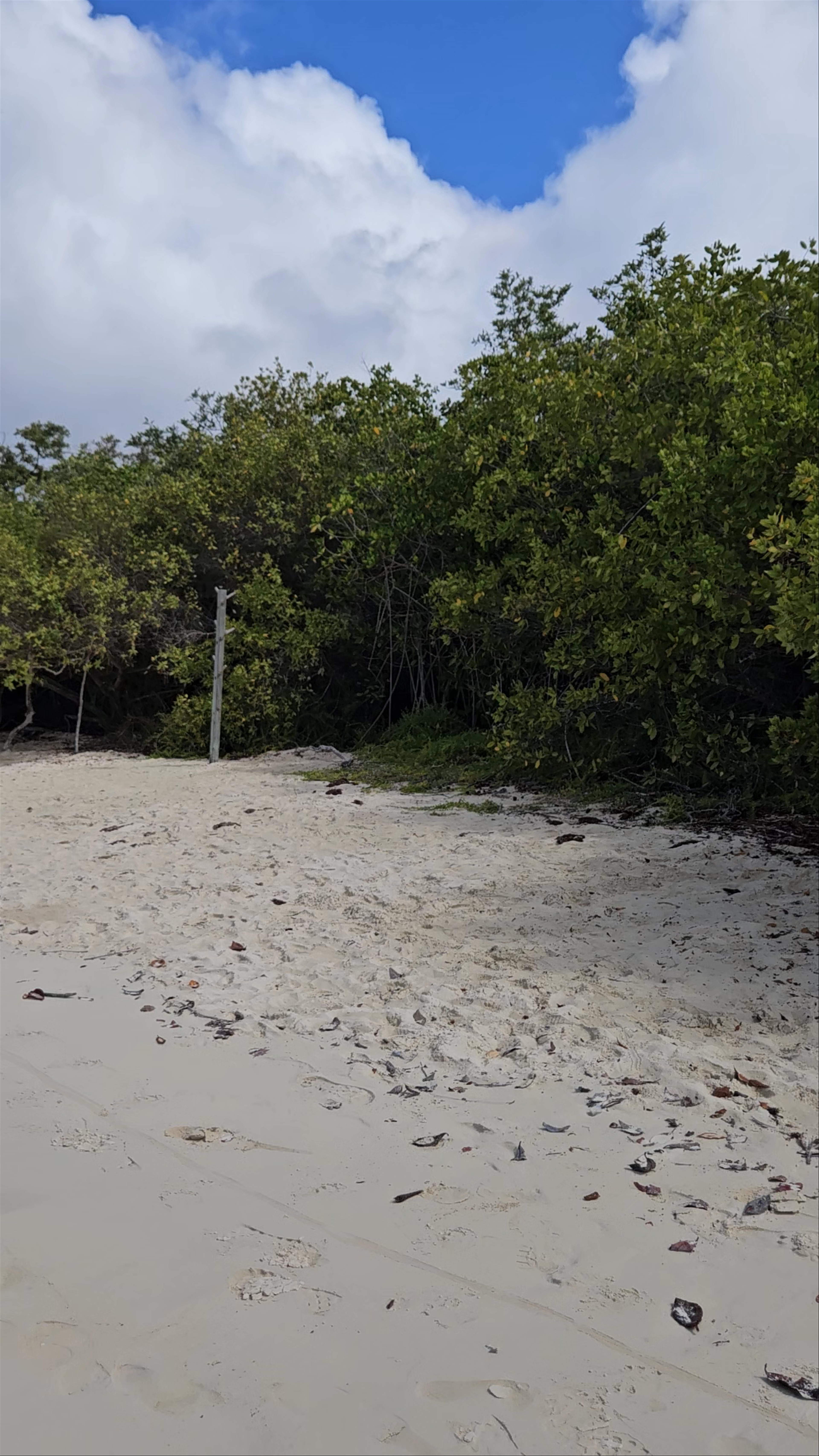 Bahía Tortuga: Serene Coastal Escape in Ecuador