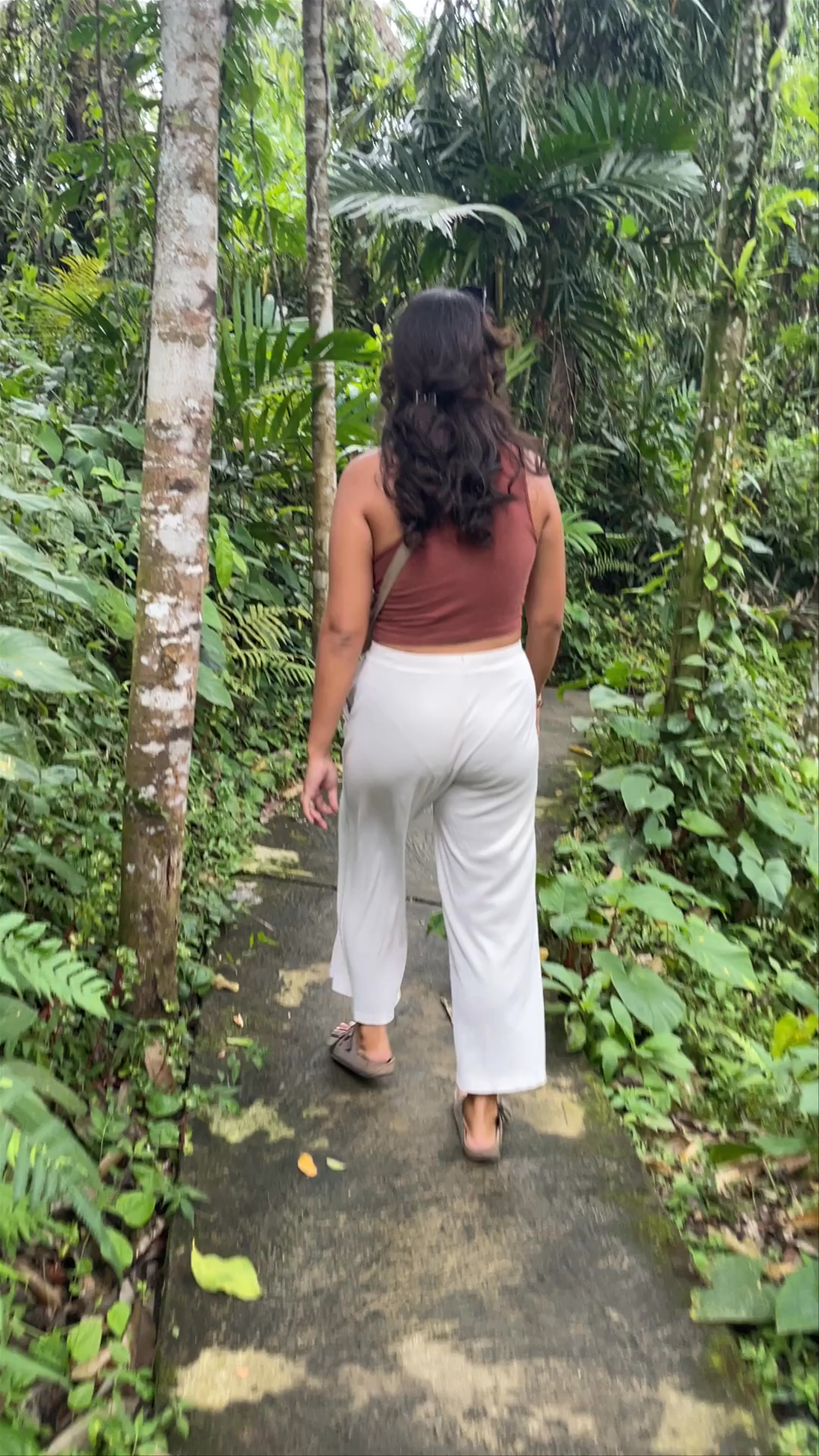 Suwat Waterfall Trail: A Lush Walk Through Bali’s Tropical Jungle